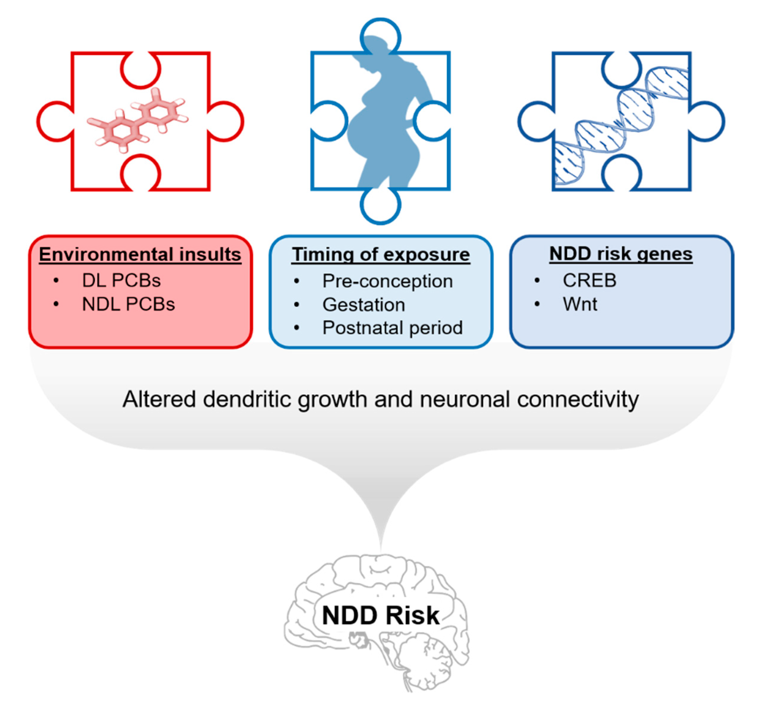 Ijms 21 01013 g003 Ijms 21 01013 g003