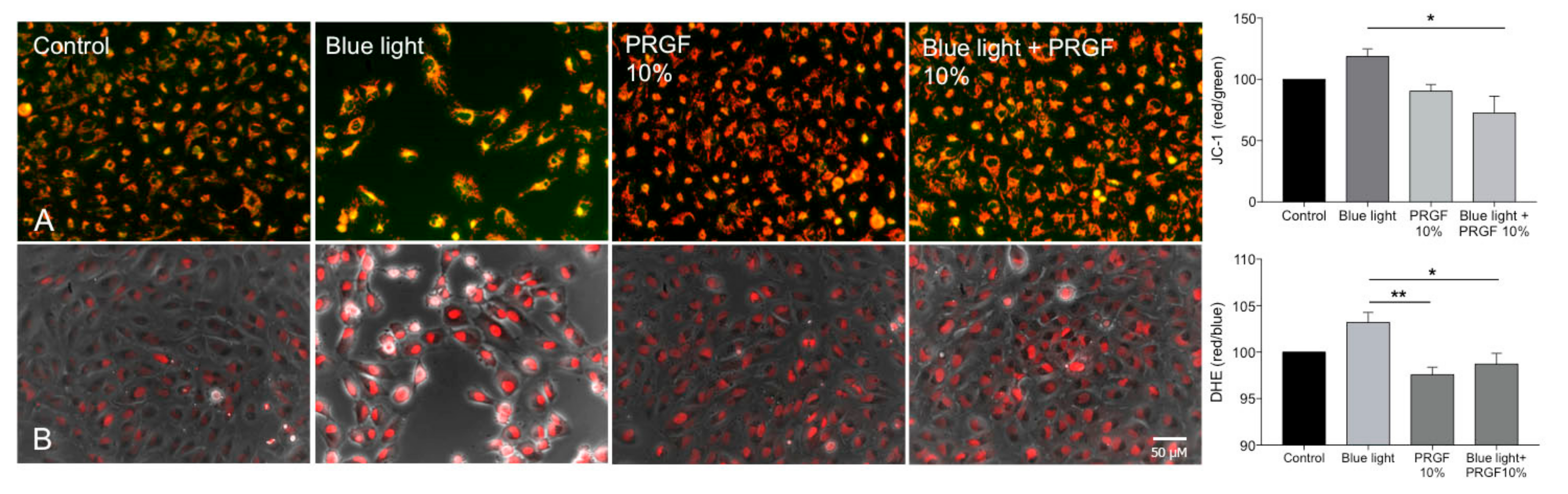 Ijms 21 01021 g002 Ijms 21 01021 g002