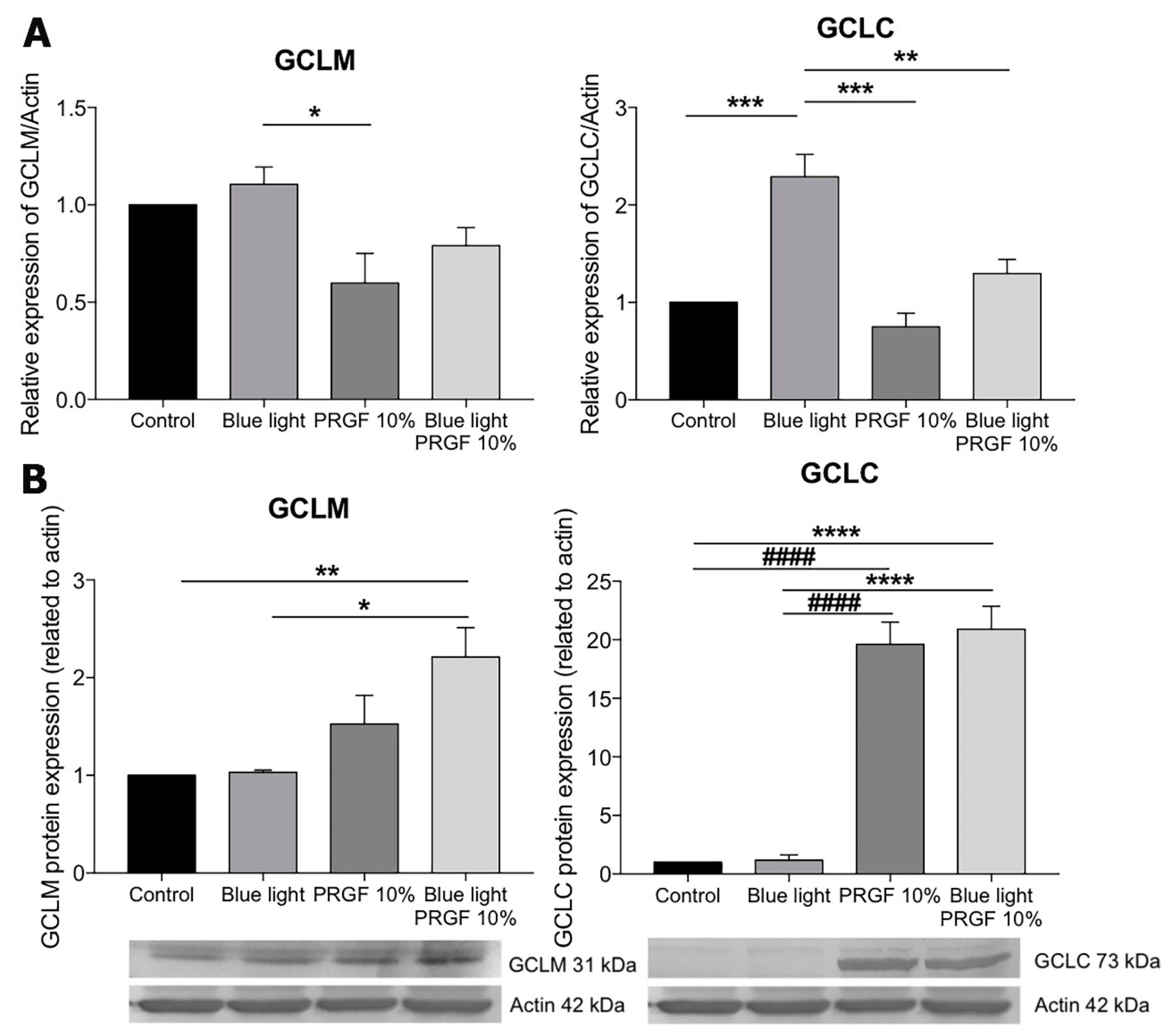 Ijms 21 01021 g004 Ijms 21 01021 g004