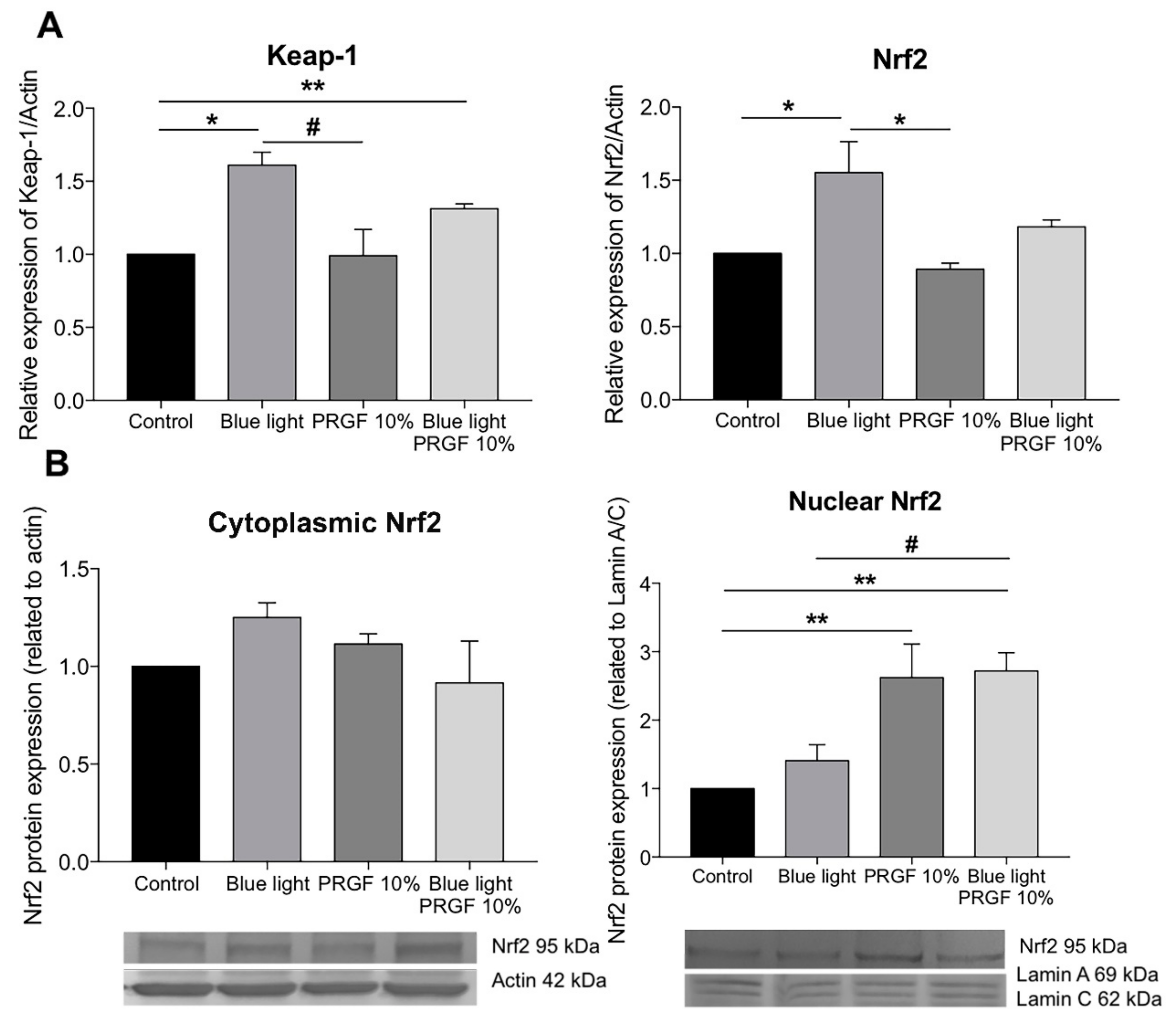 Ijms 21 01021 g006 Ijms 21 01021 g006