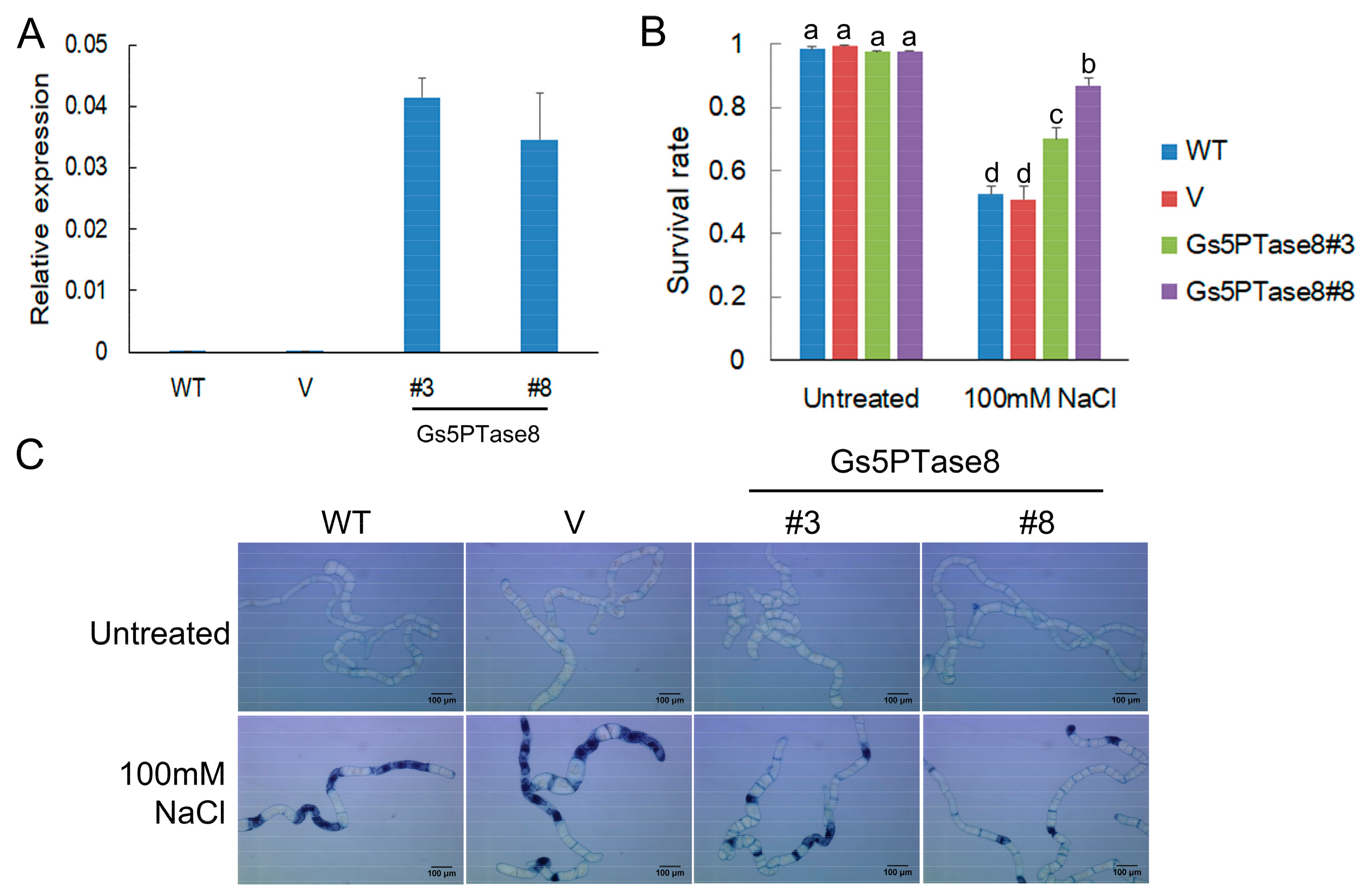 Ijms 21 01023 g002 Ijms 21 01023 g002