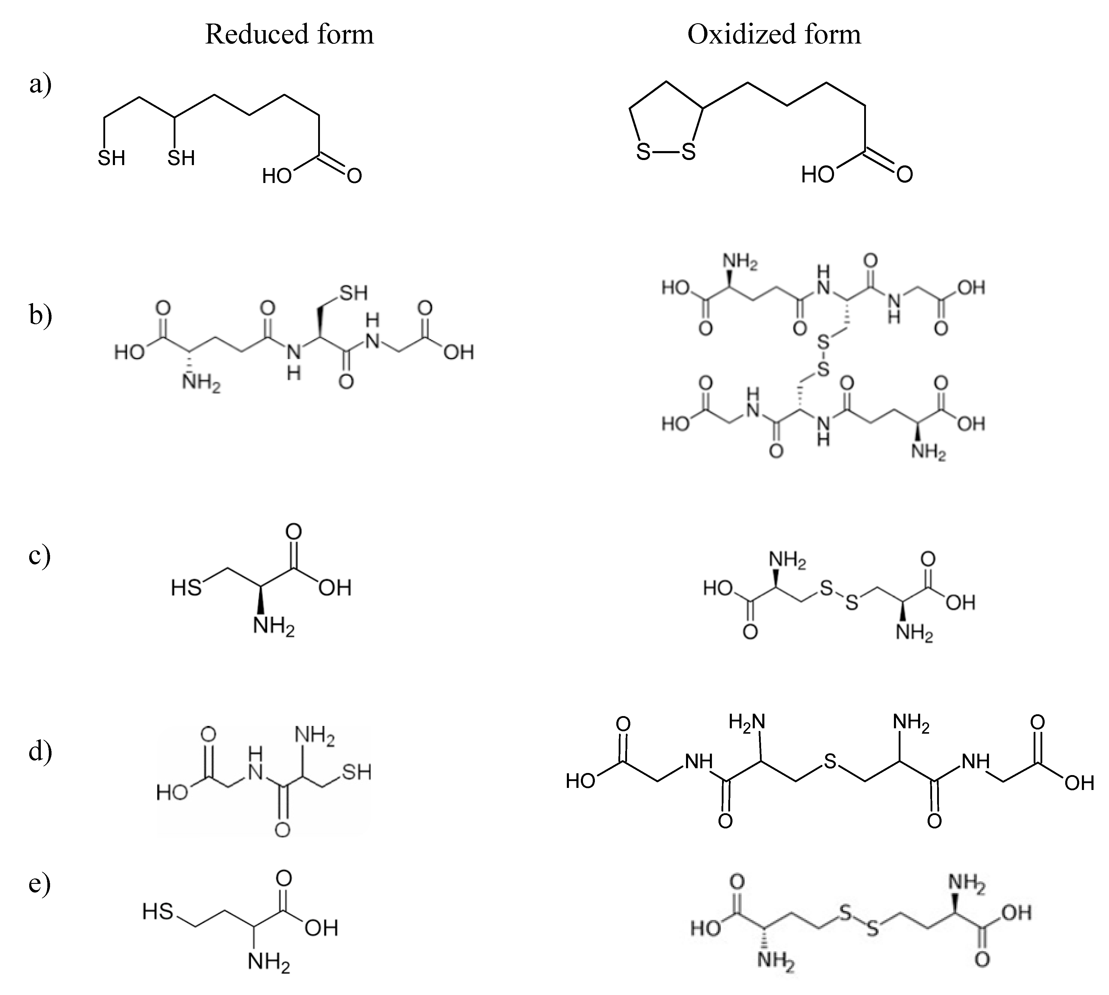 Ijms 21 01049 g001 Ijms 21 01049 g001