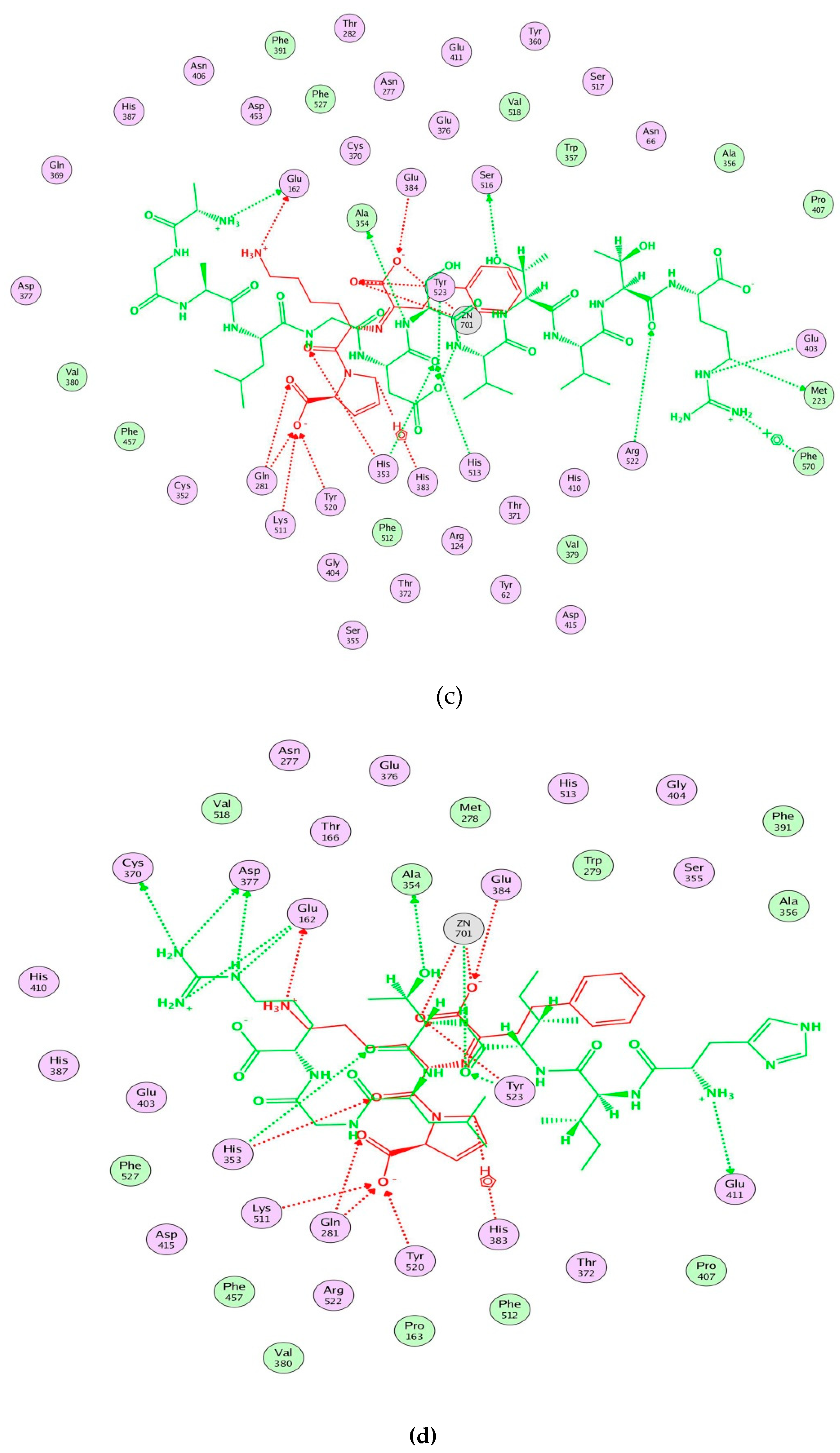 Ijms 21 01059 g004b Ijms 21 01059 g004b