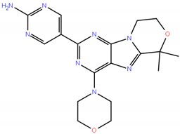 Ijms 21 01060 i003 Ijms 21 01060 i003