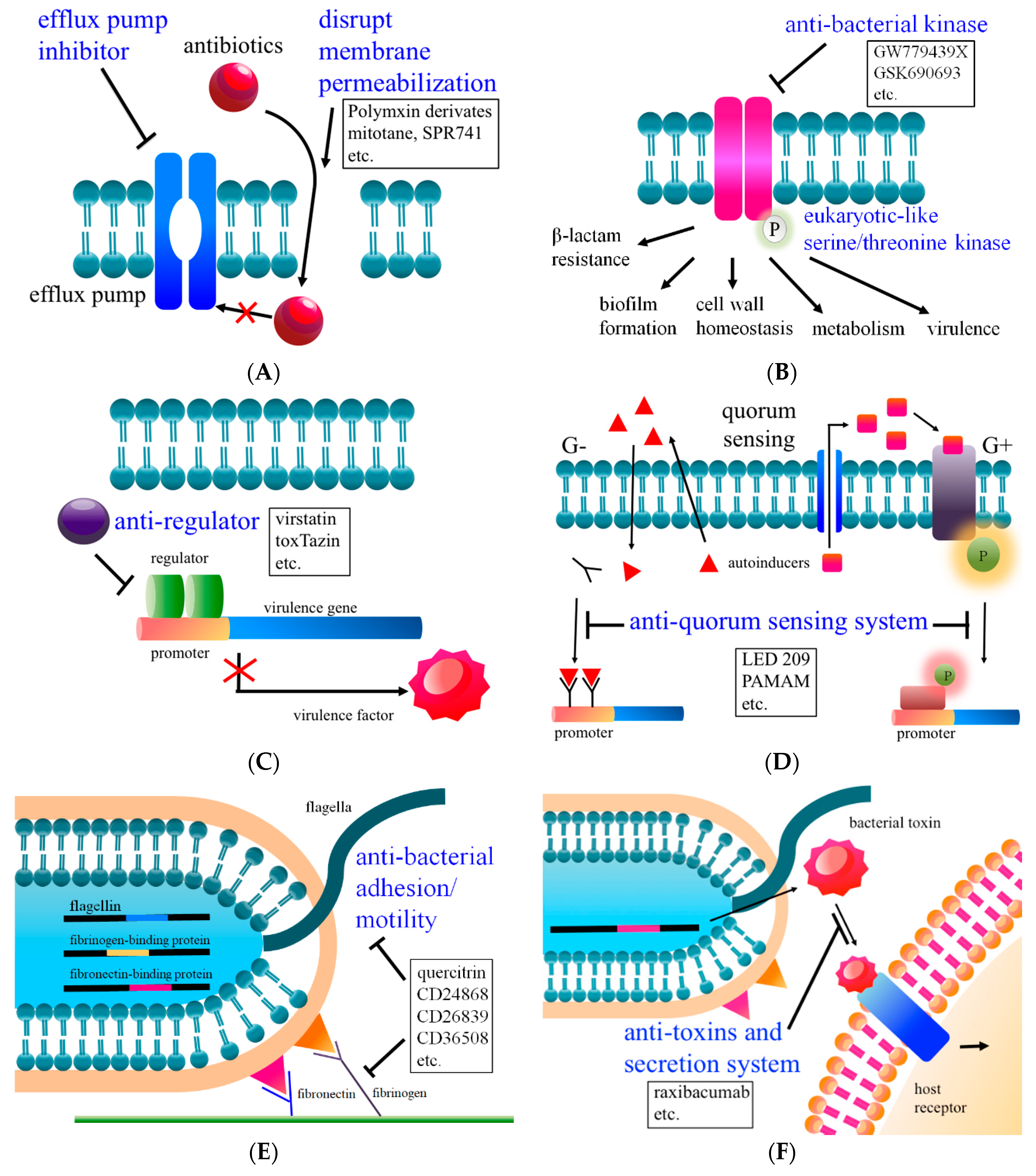 Ijms 21 01061 g001 Ijms 21 01061 g001