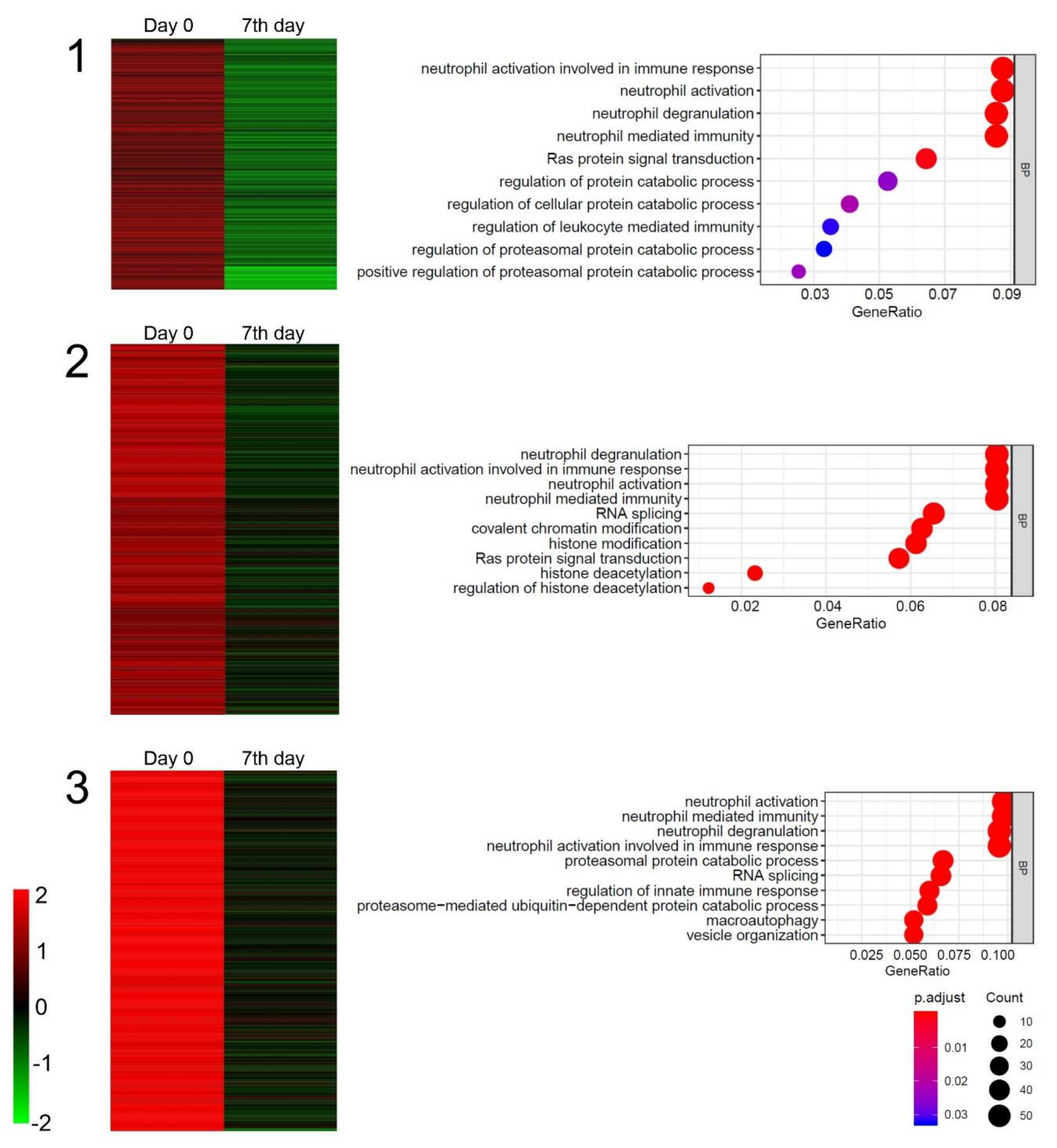 Ijms 21 01070 g004 Ijms 21 01070 g004