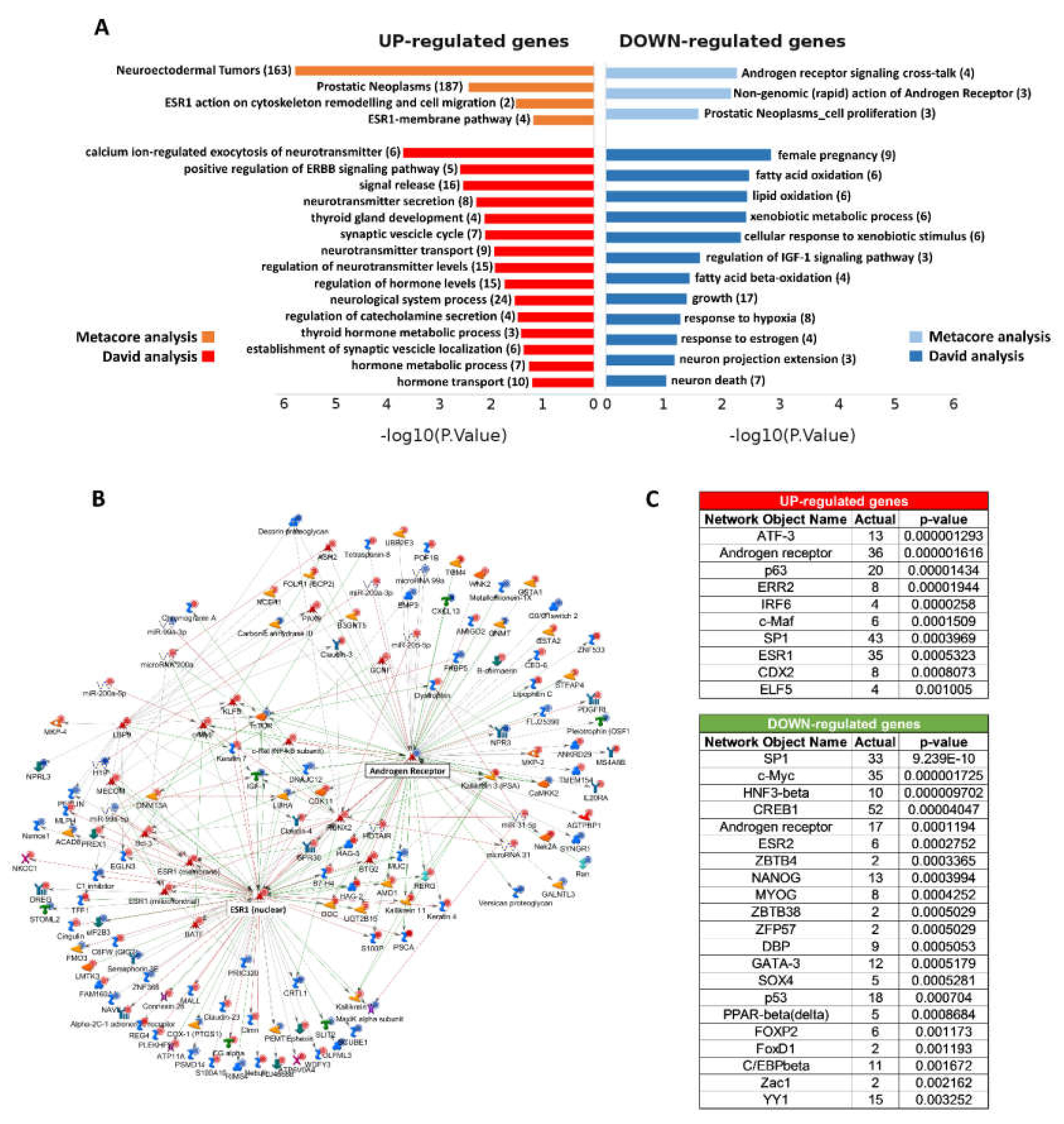 Ijms 21 01078 g003 Ijms 21 01078 g003