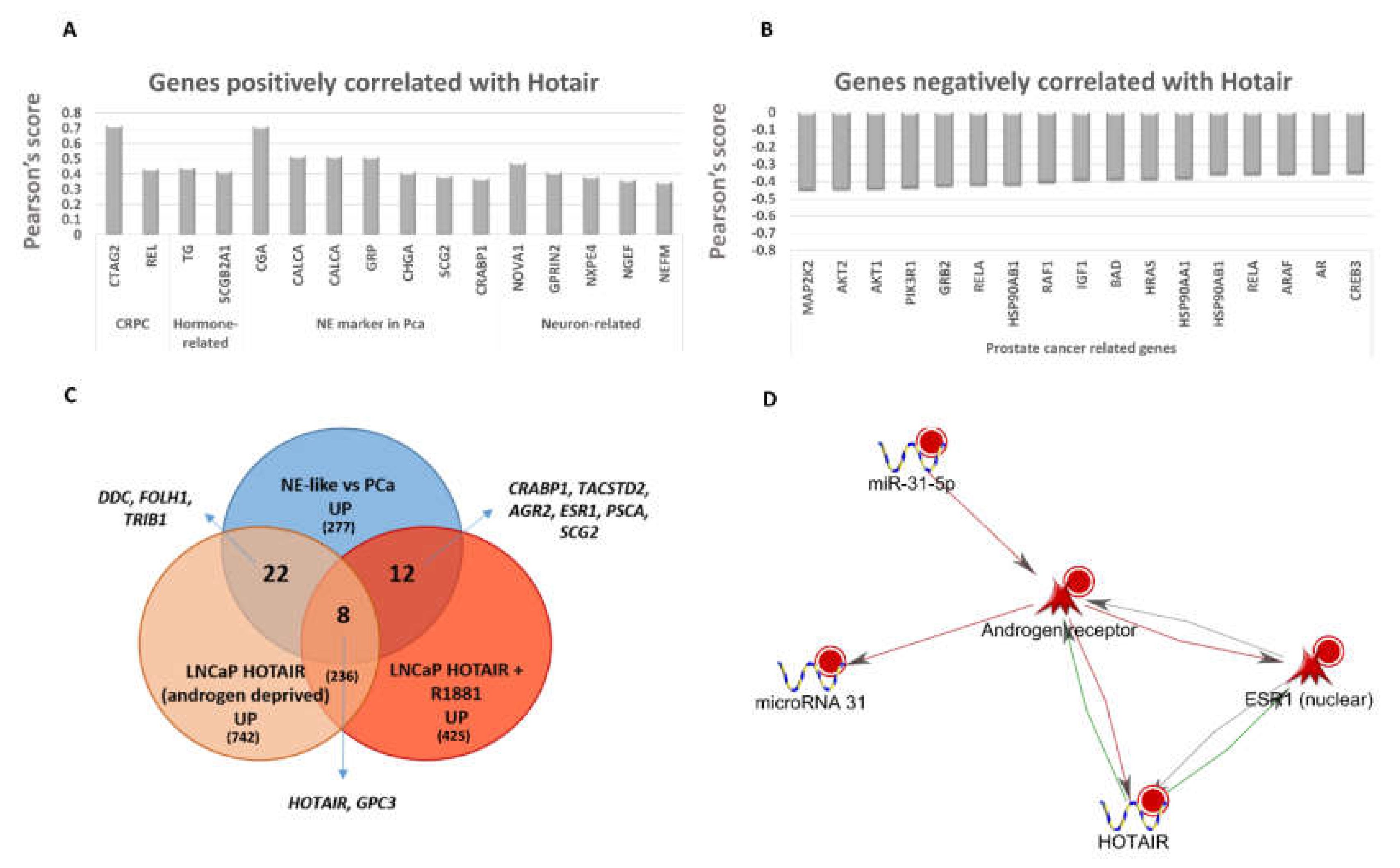 Ijms 21 01078 g005 Ijms 21 01078 g005