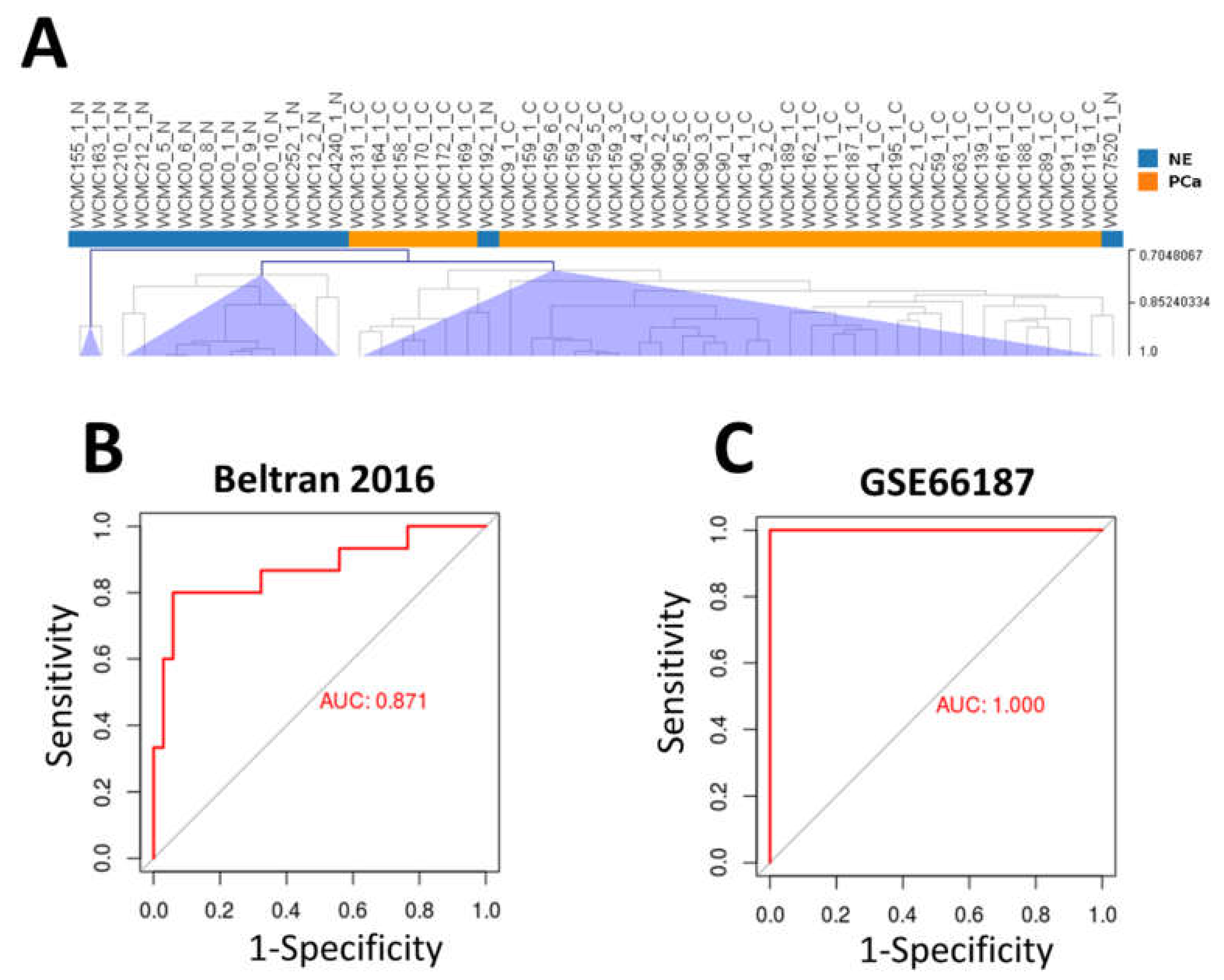 Ijms 21 01078 g006 Ijms 21 01078 g006