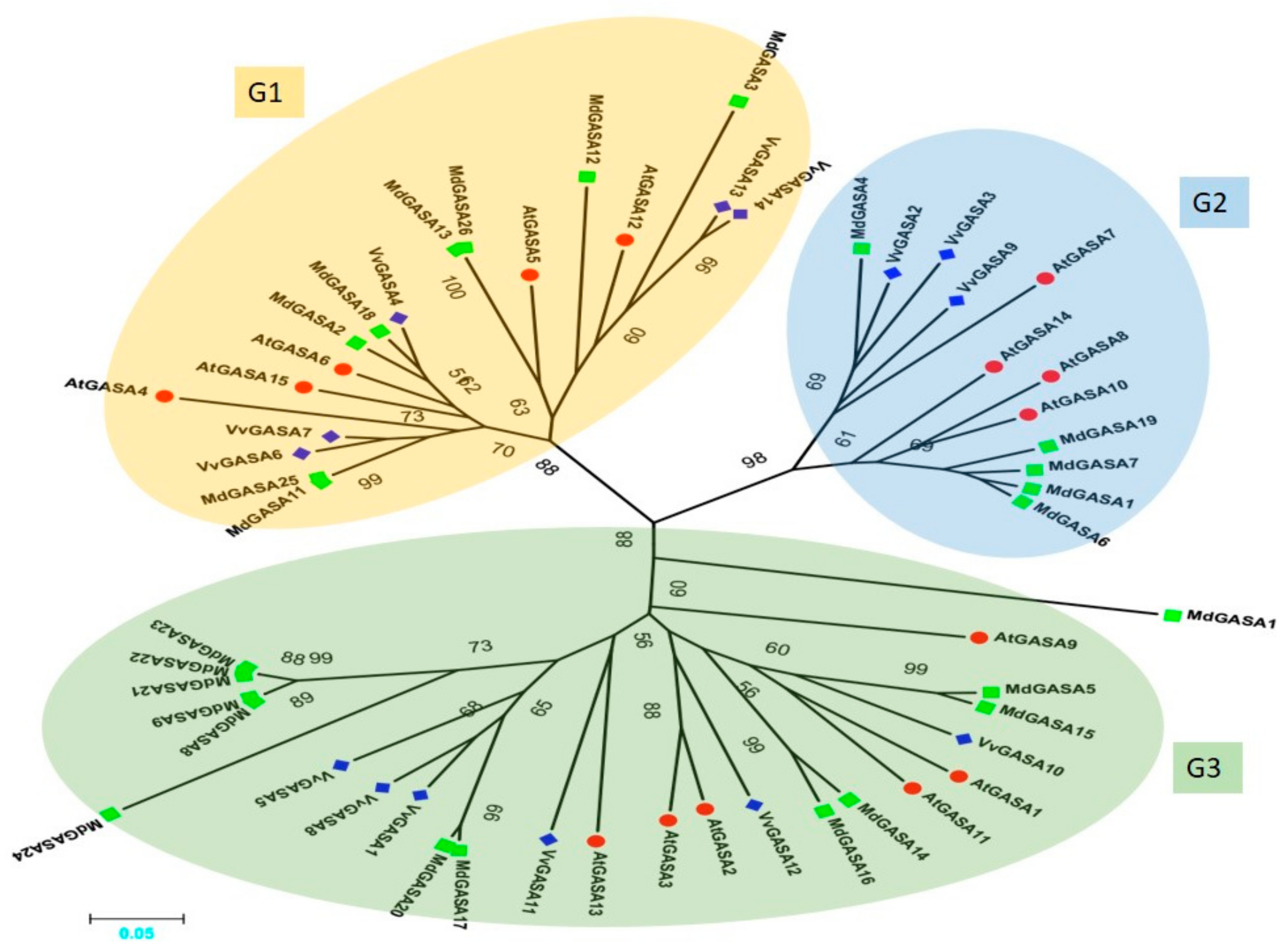Ijms 21 01088 g002 Ijms 21 01088 g002