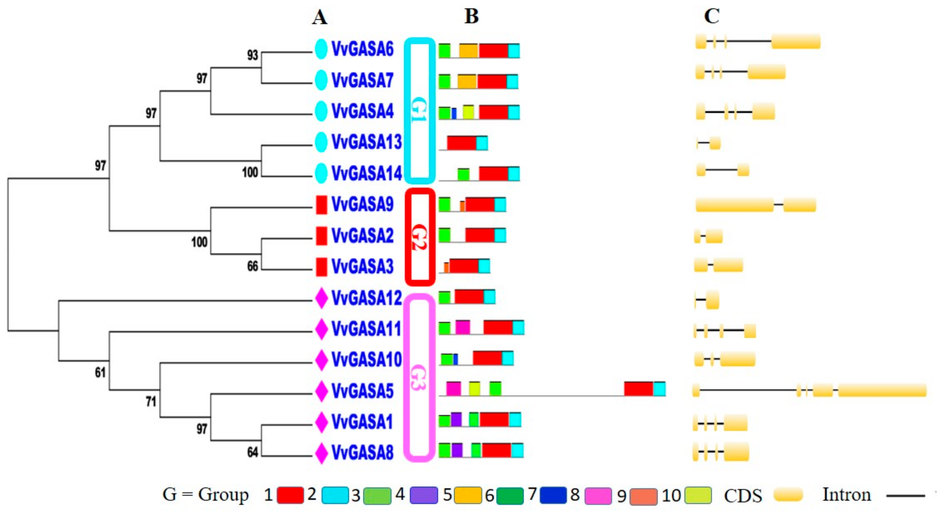 Ijms 21 01088 g003 Ijms 21 01088 g003