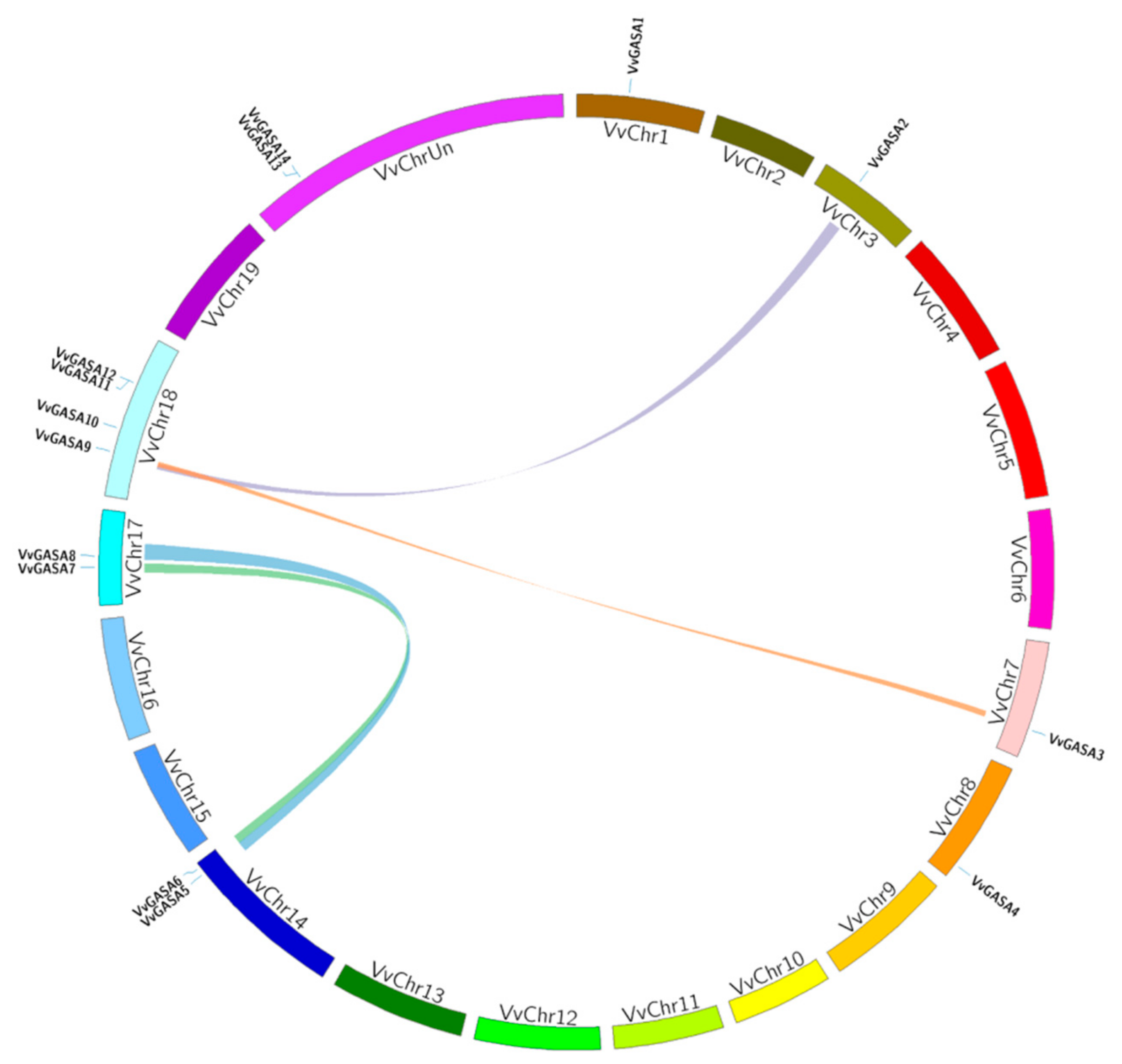 Ijms 21 01088 g004 Ijms 21 01088 g004