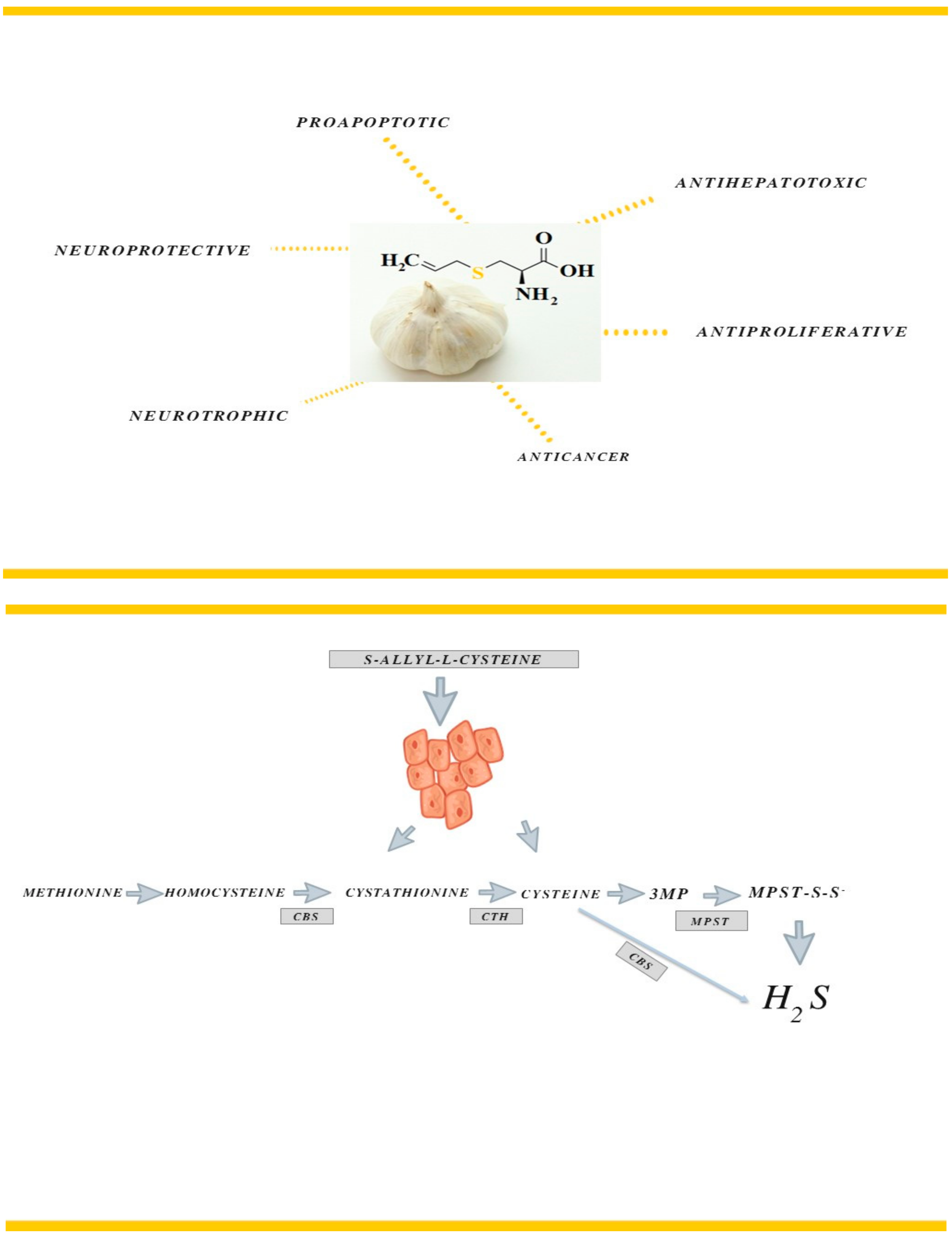 Ijms 21 01090 sch001
