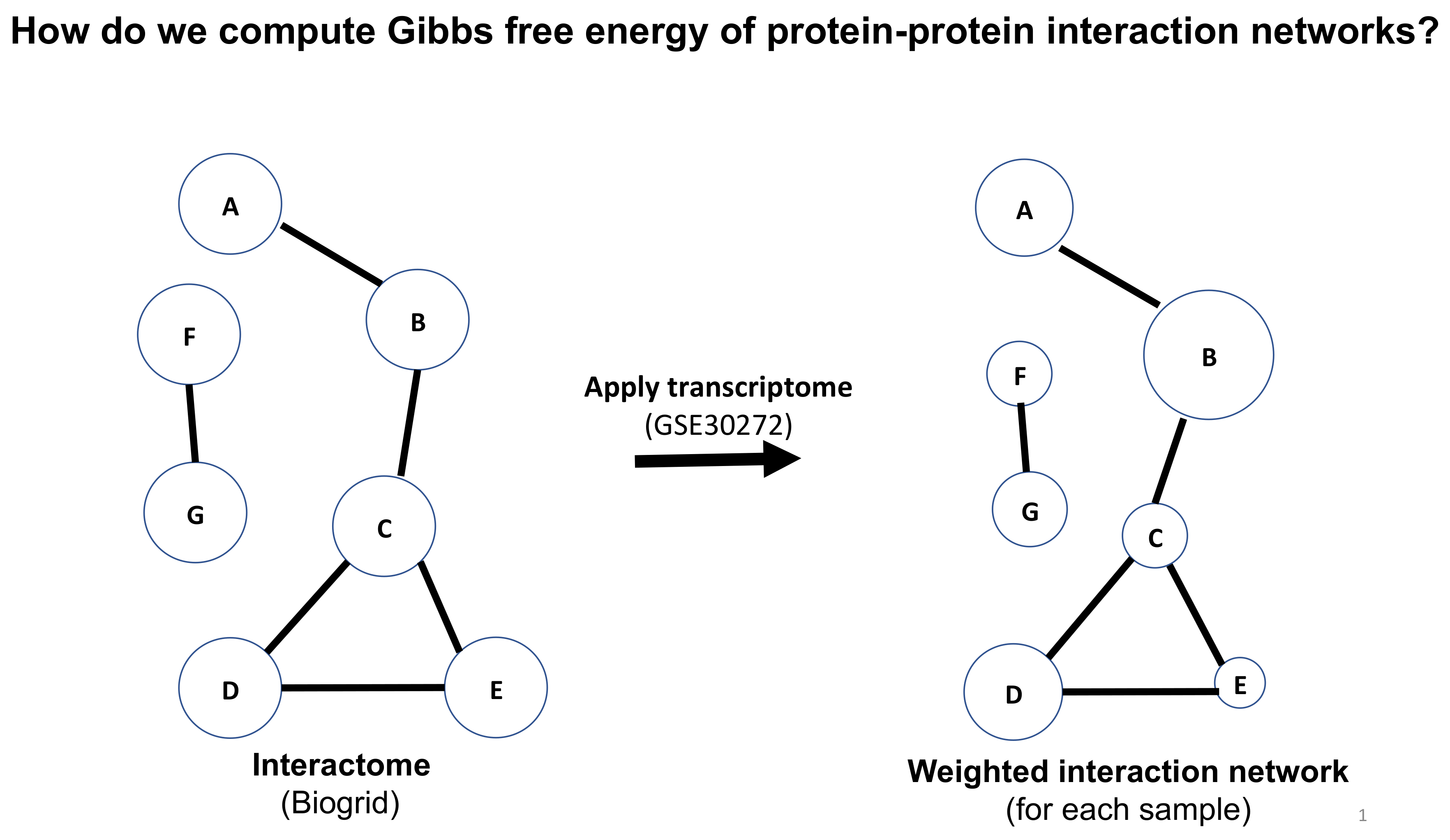 Ijms 21 01116 g001 Ijms 21 01116 g001