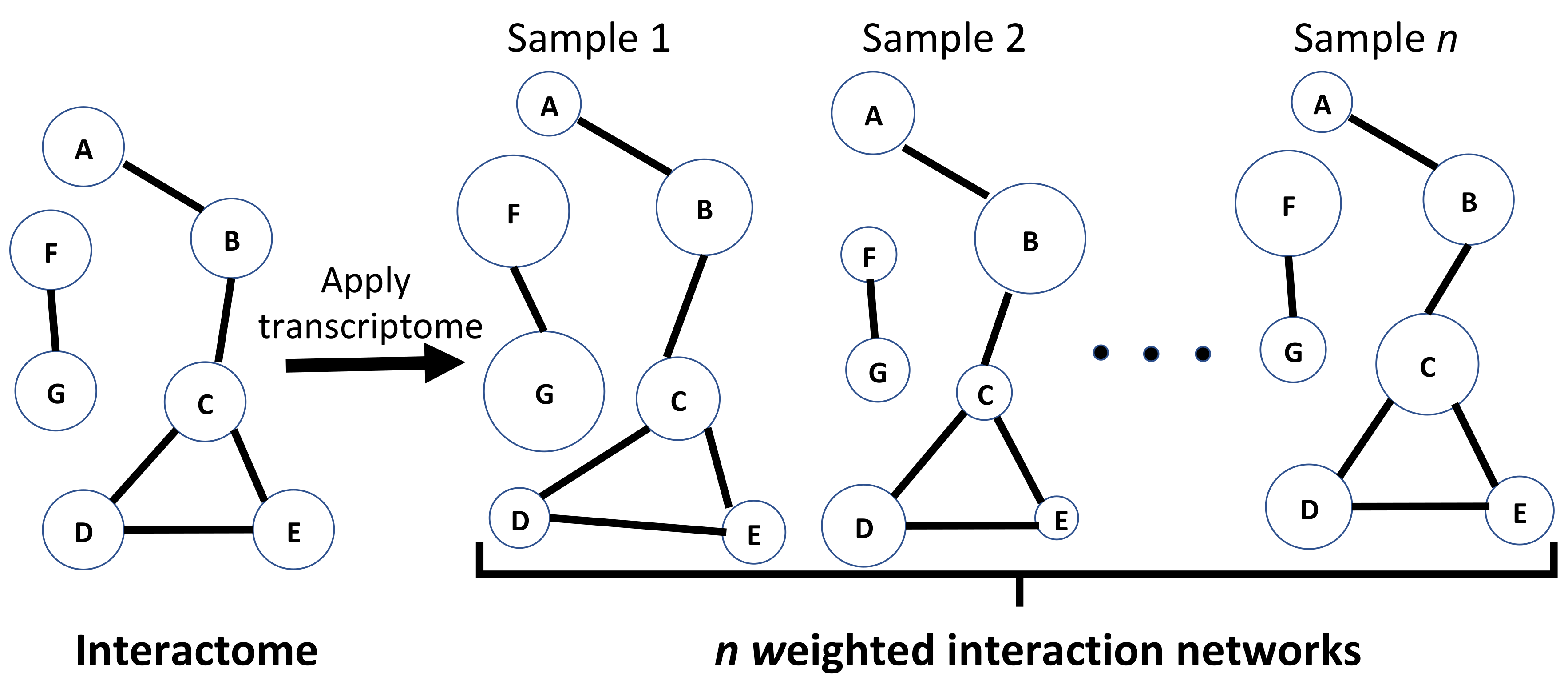 Ijms 21 01116 g002 Ijms 21 01116 g002