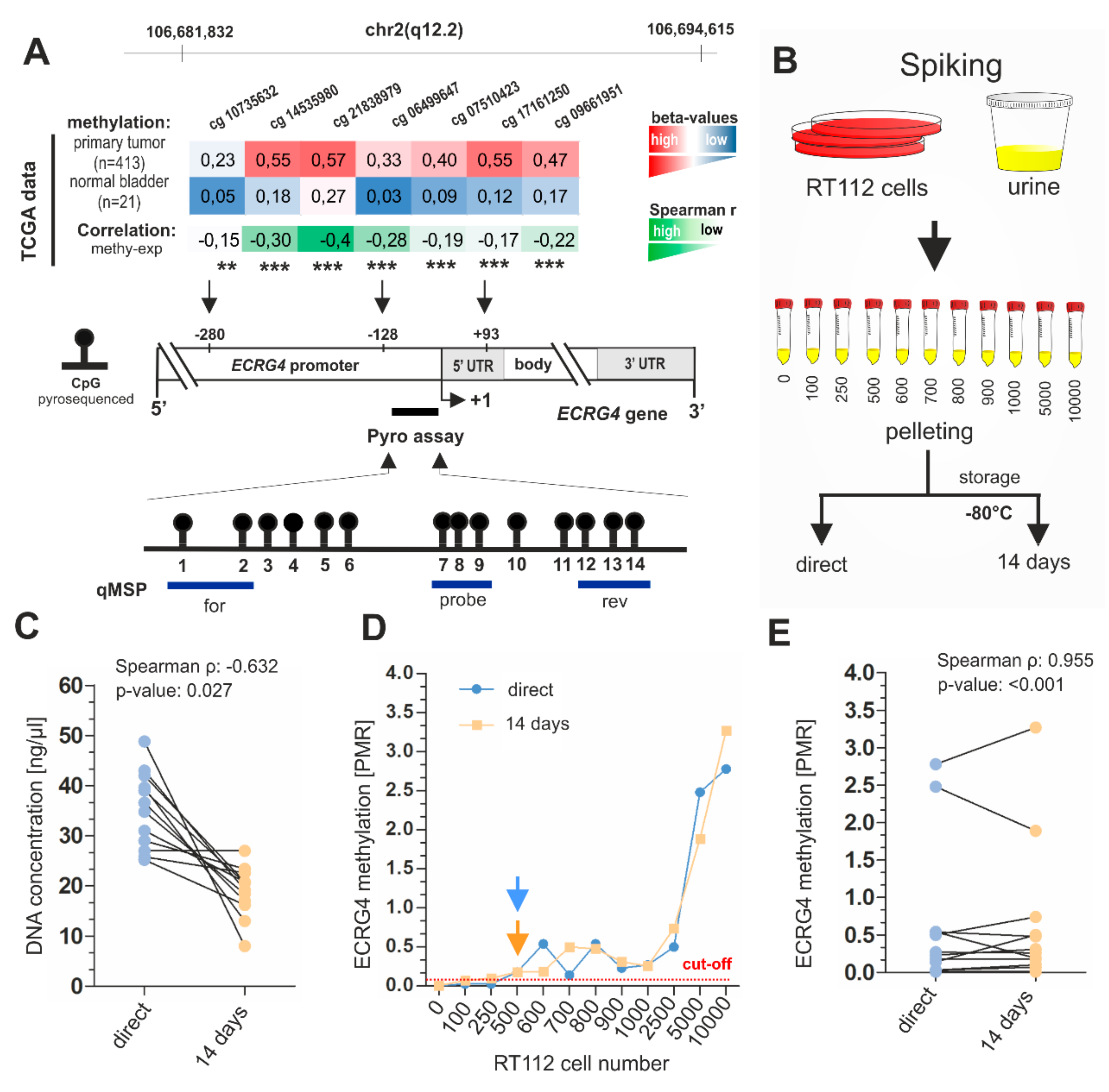 Ijms 21 01117 g001 Ijms 21 01117 g001