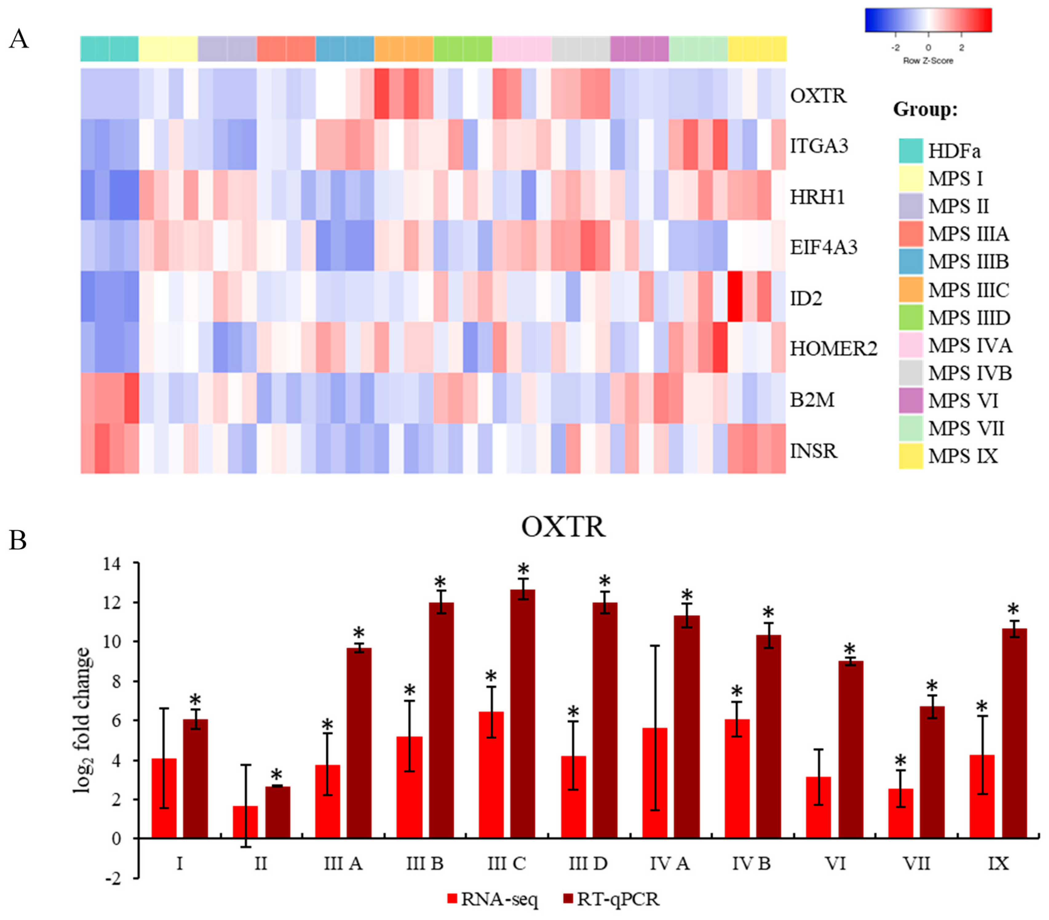 Ijms 21 01156 g003 Ijms 21 01156 g003