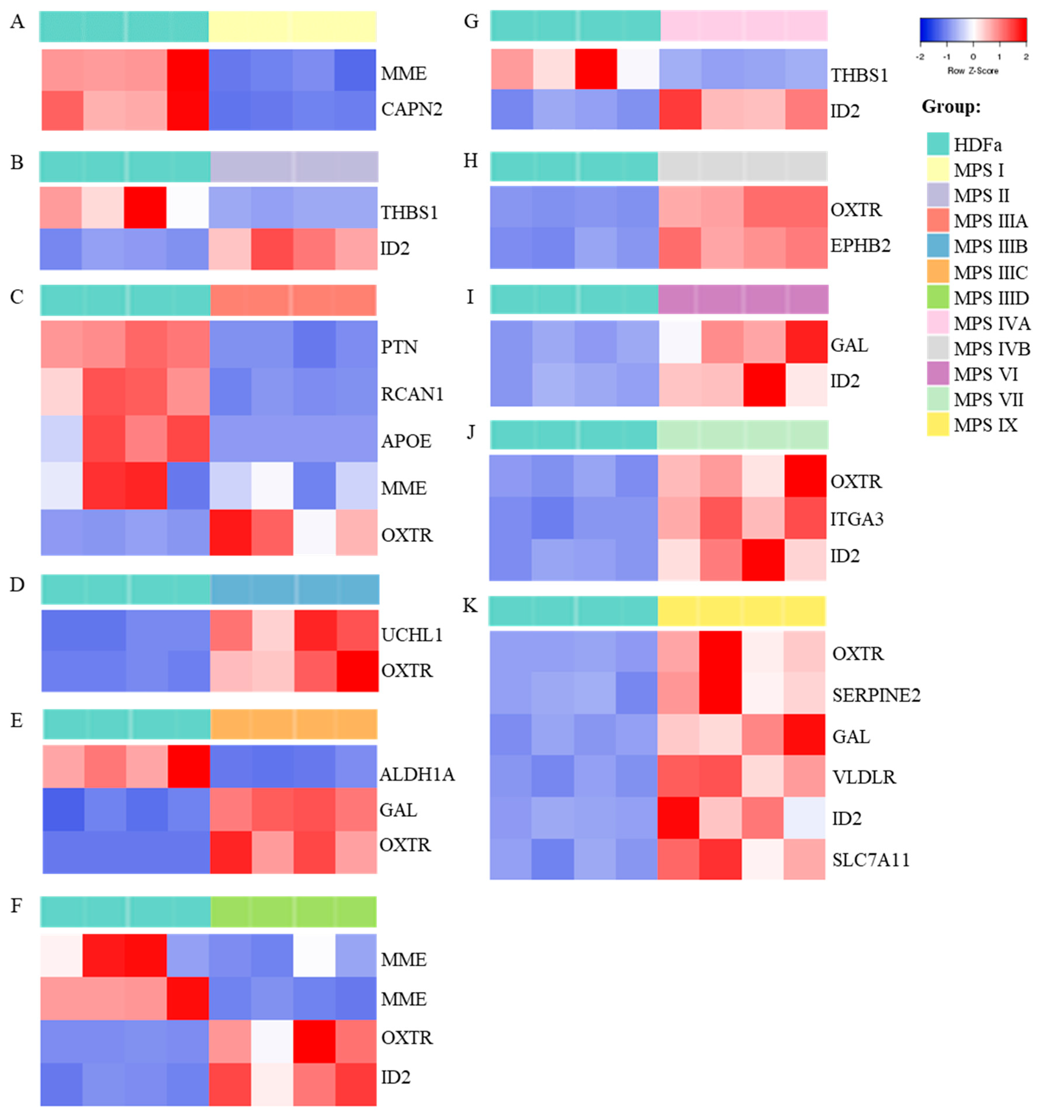 Ijms 21 01156 g005 Ijms 21 01156 g005