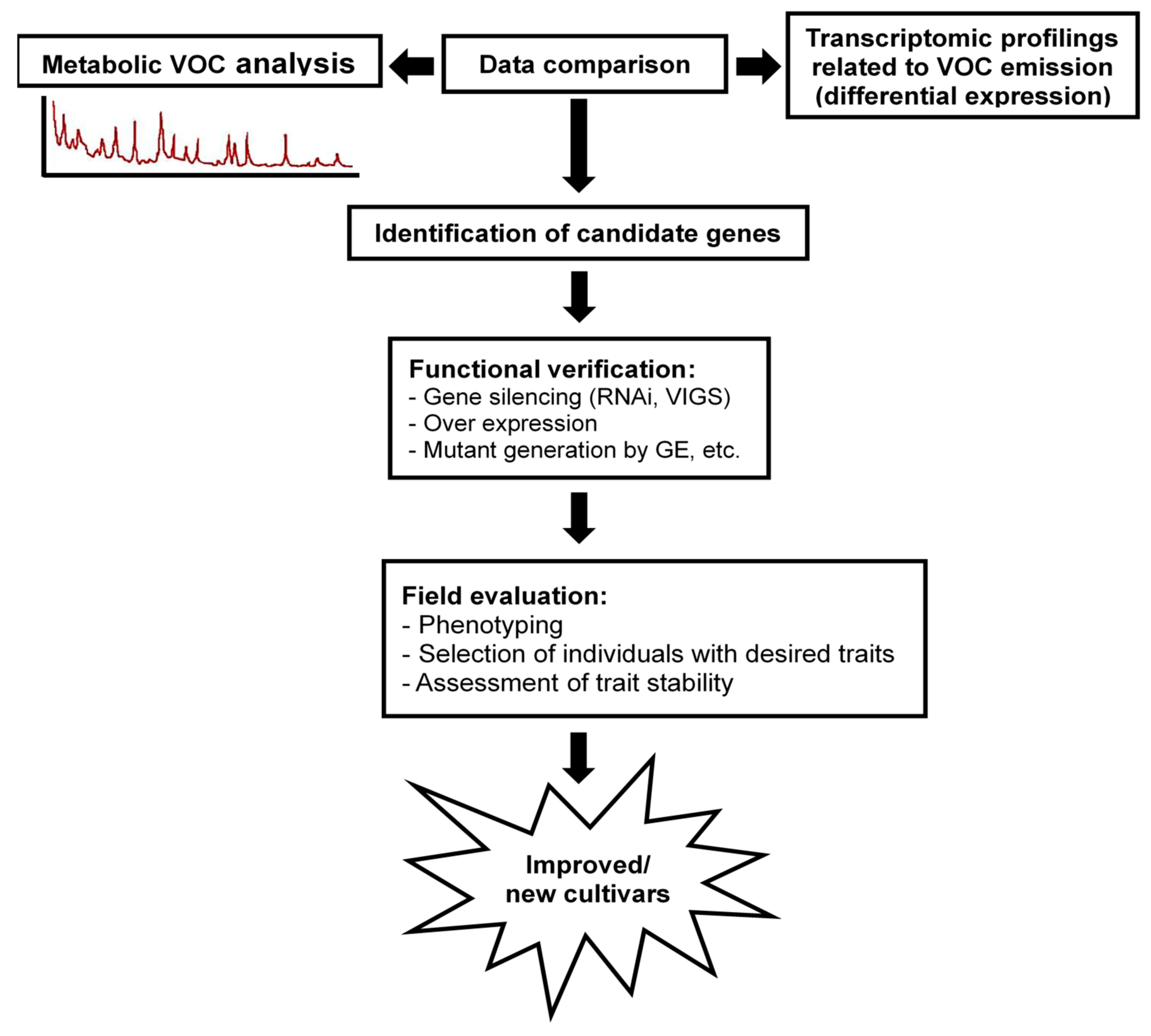 Ijms 21 01160 g004 Ijms 21 01160 g004