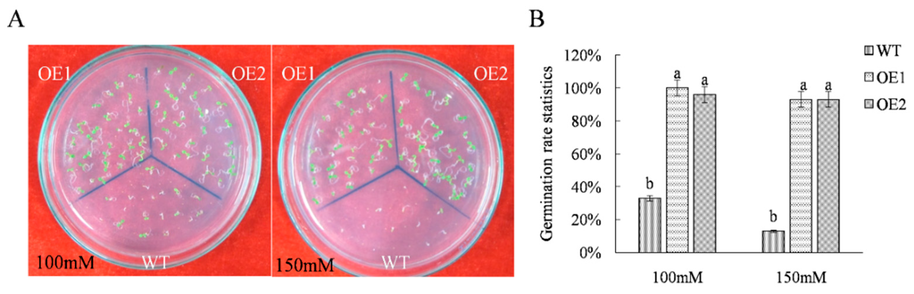 Ijms 21 01165 g001 Ijms 21 01165 g001