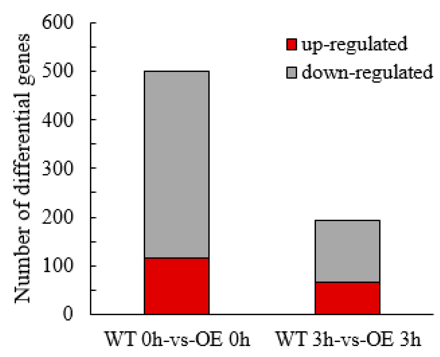 Ijms 21 01165 g005 Ijms 21 01165 g005