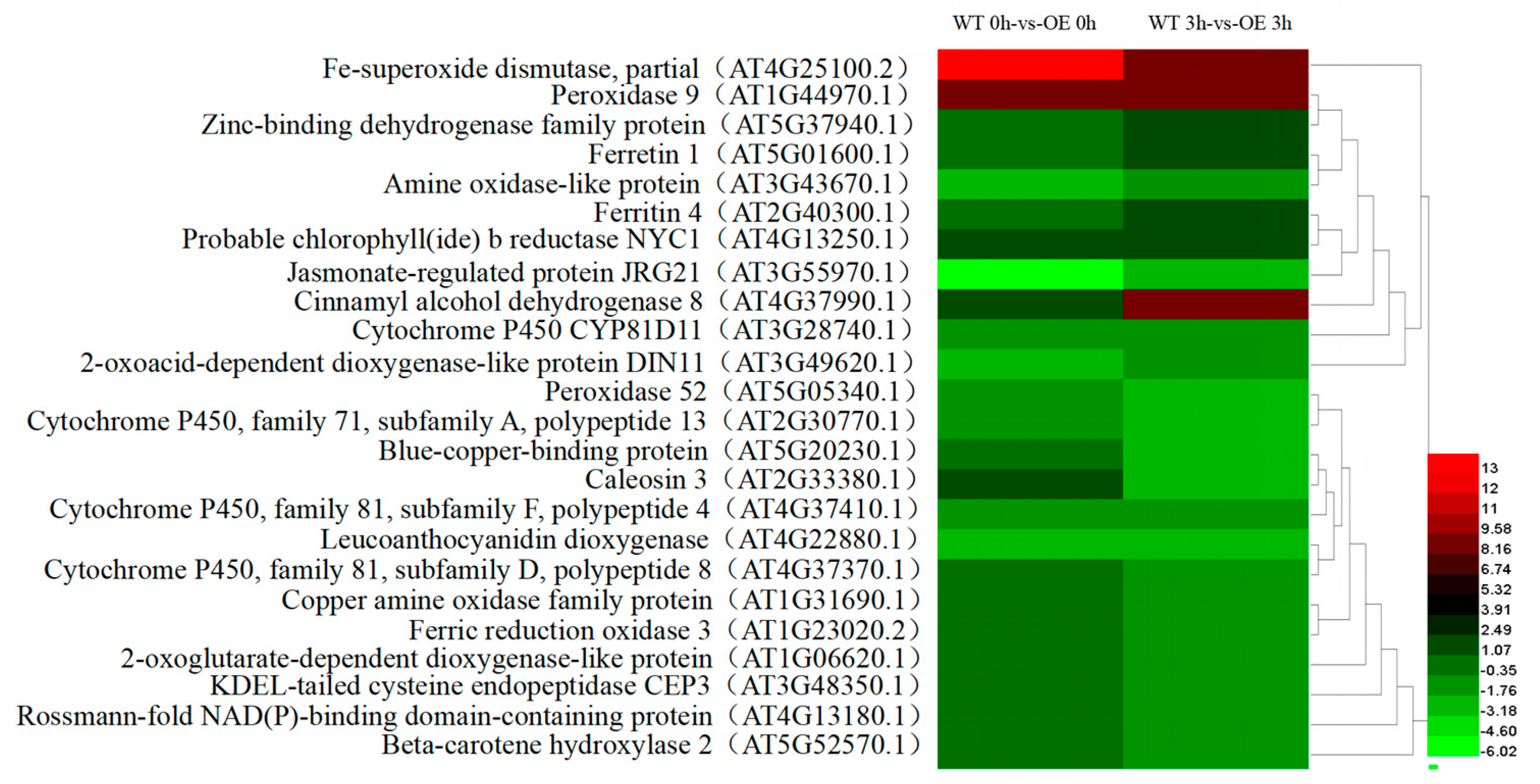 Ijms 21 01165 g008 Ijms 21 01165 g008