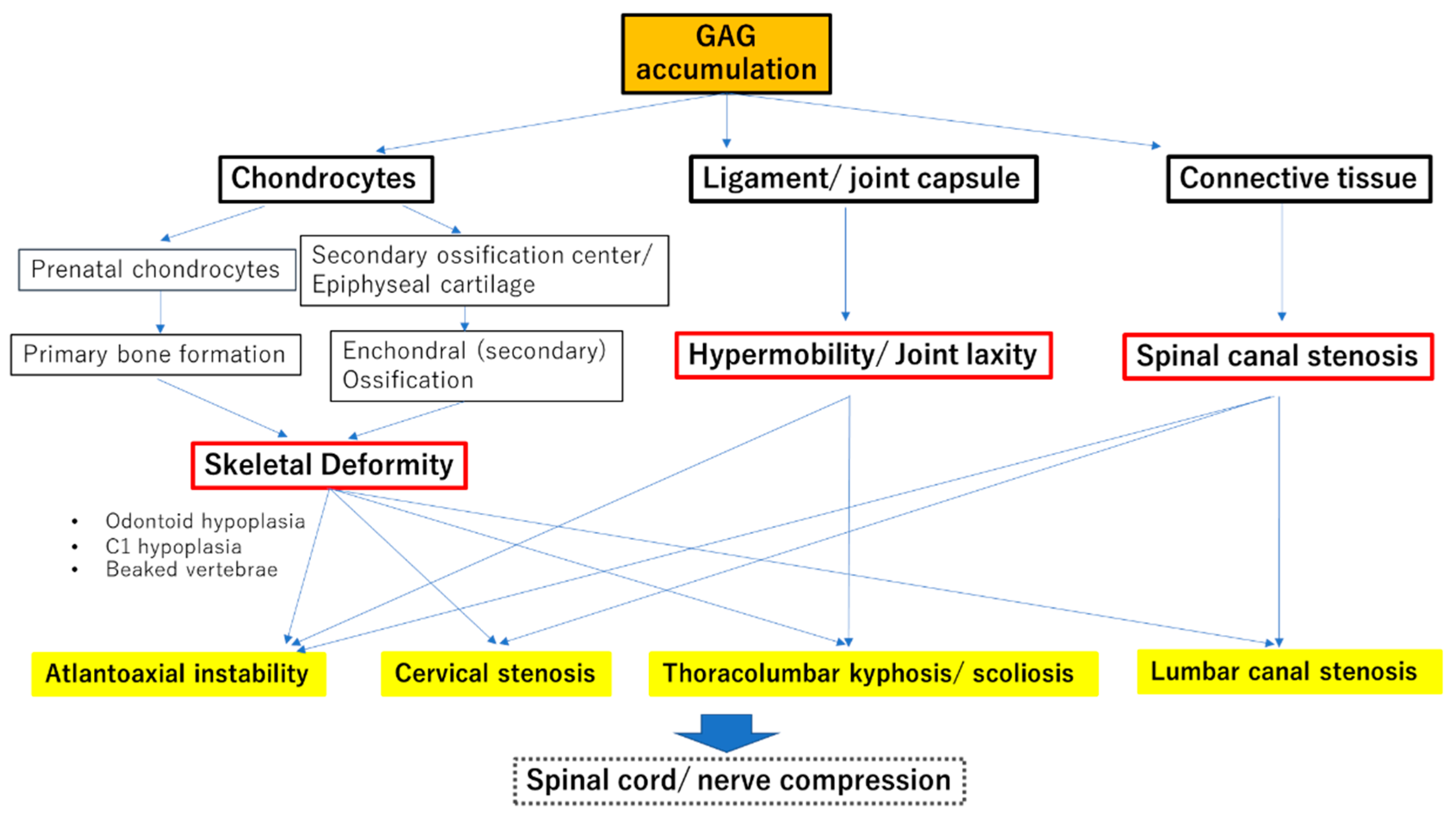 Ijms 21 01171 g001 Ijms 21 01171 g001