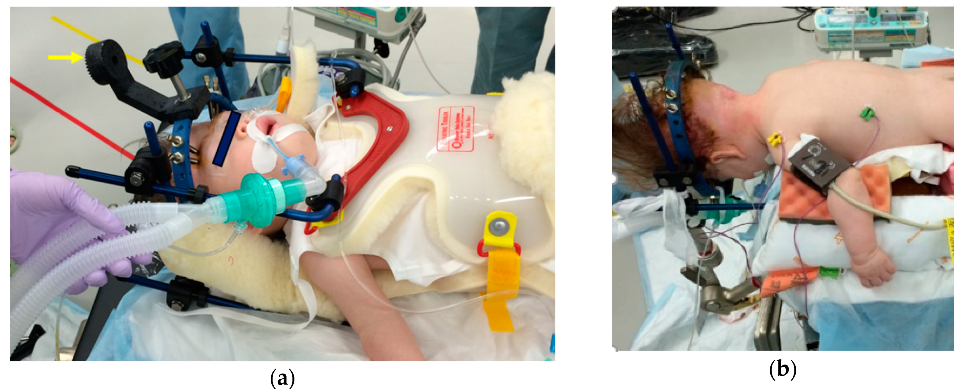 Ijms 21 01171 g007 Ijms 21 01171 g007