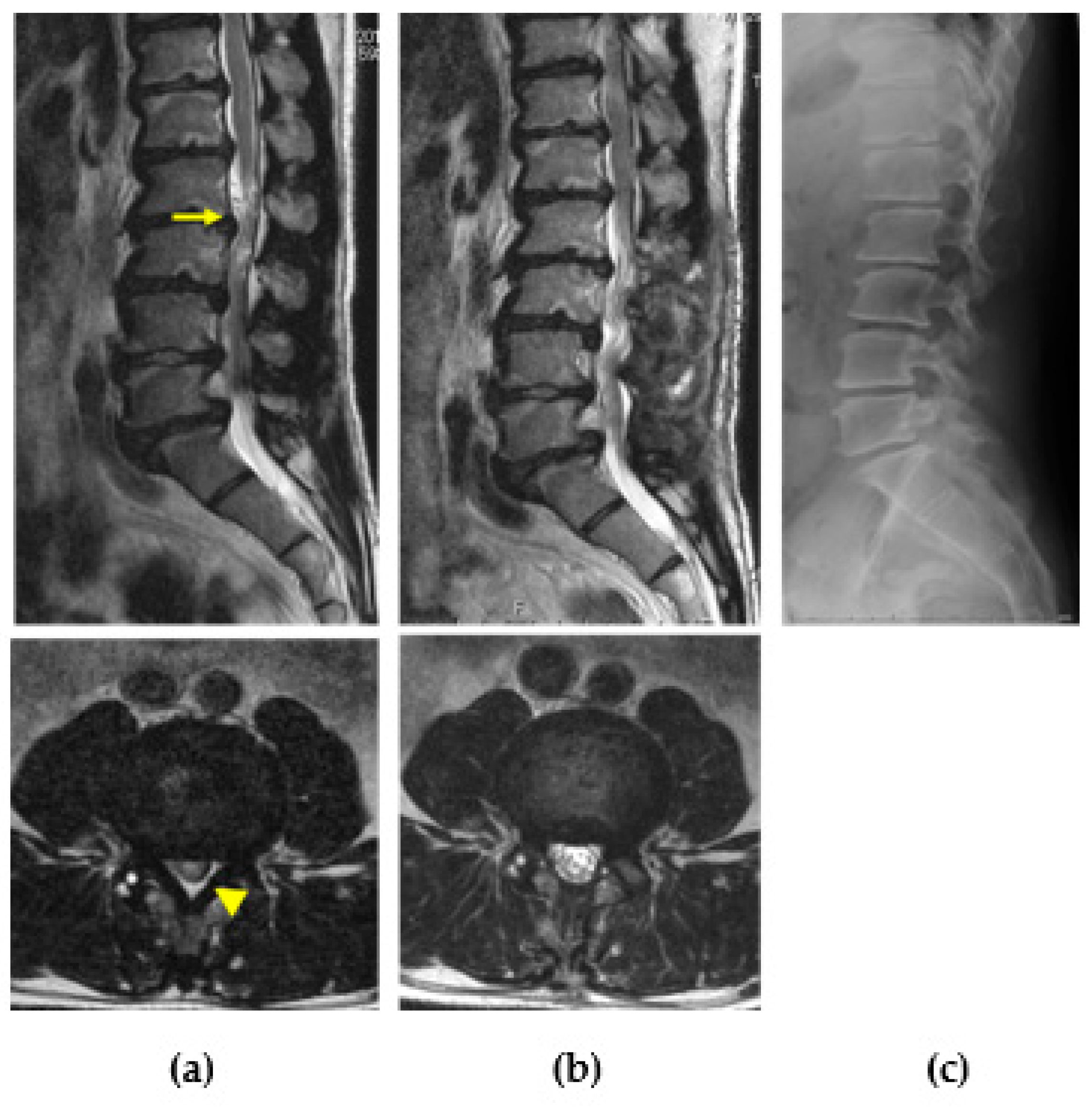 Ijms 21 01171 g009 Ijms 21 01171 g009