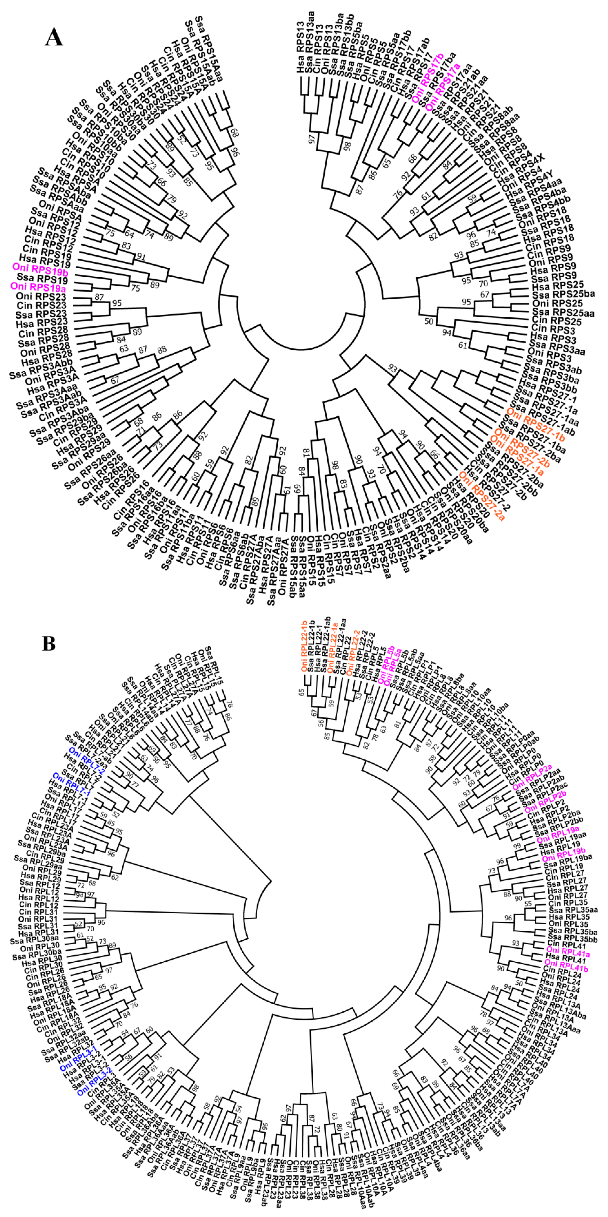 Ijms 21 01230 g003 Ijms 21 01230 g003