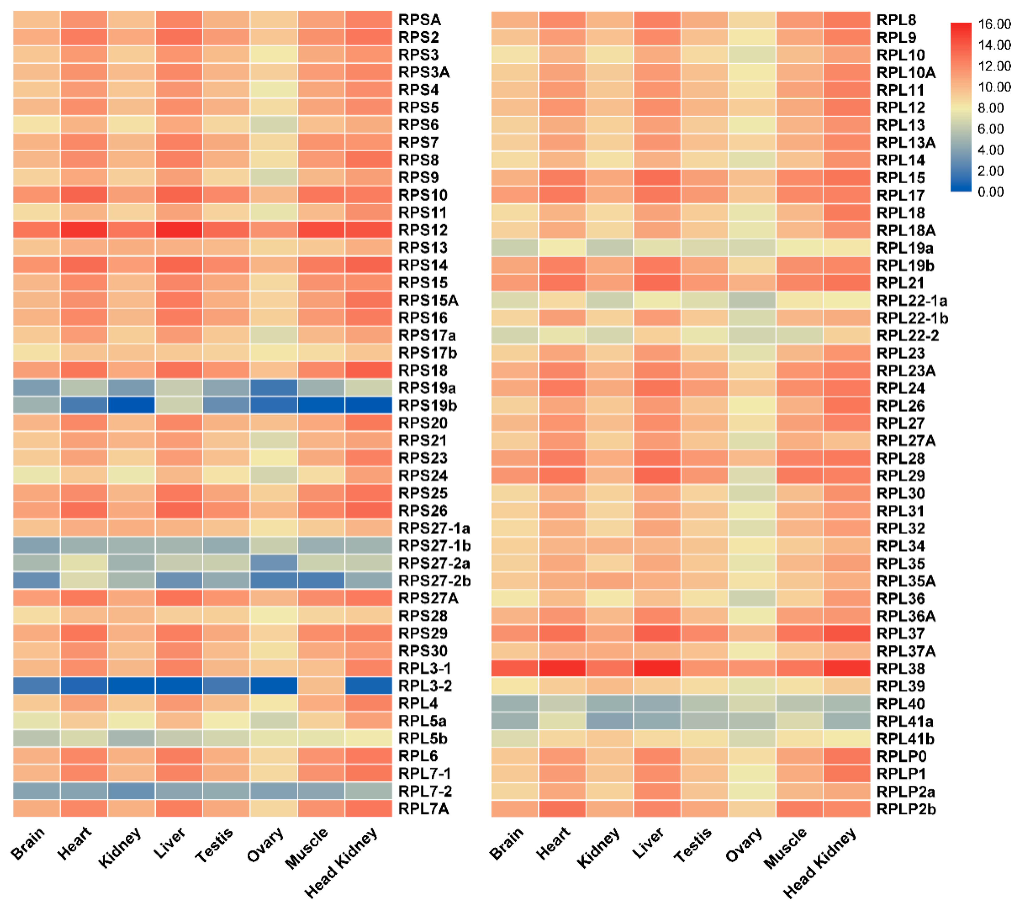 Ijms 21 01230 g005 Ijms 21 01230 g005