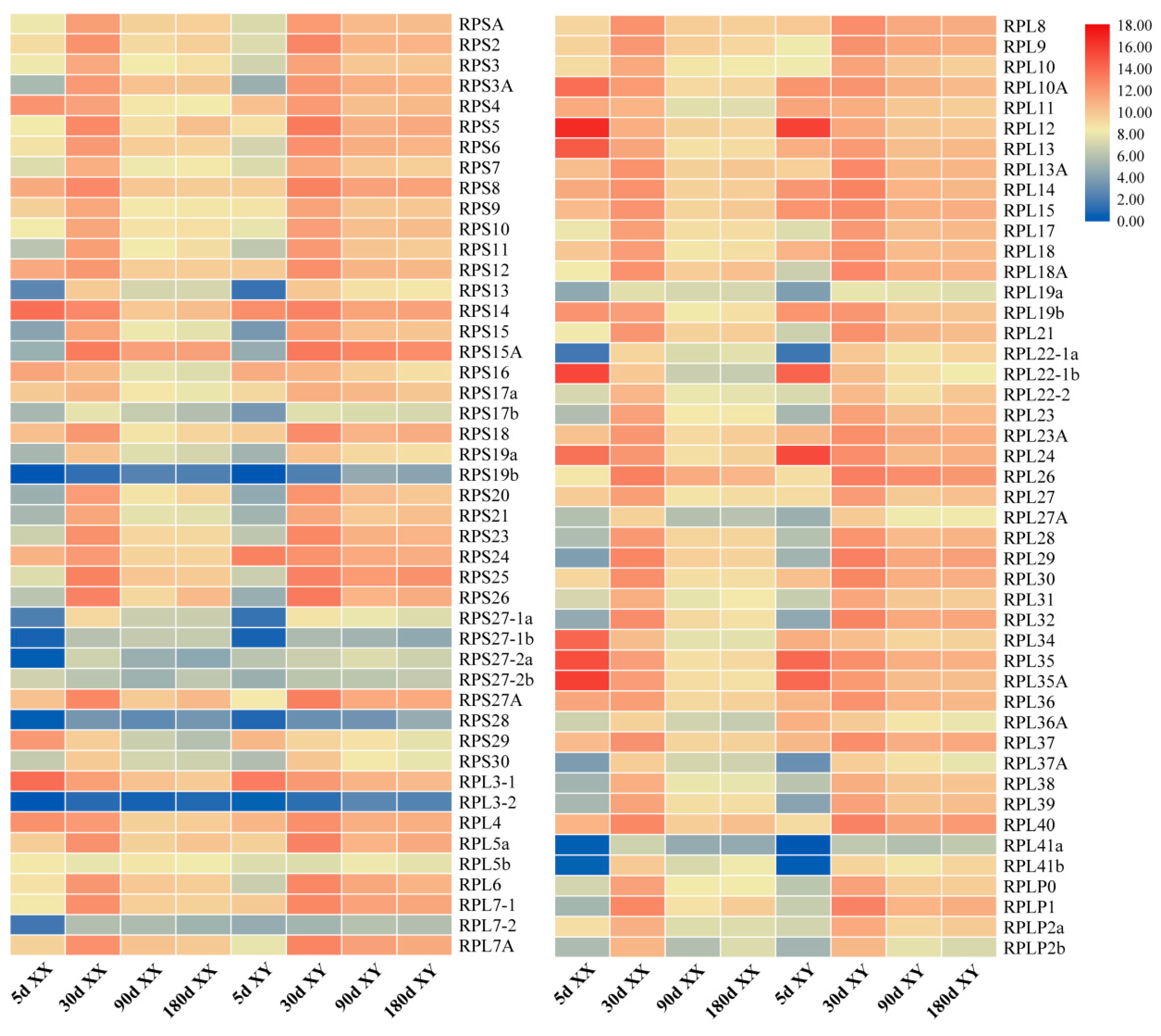 Ijms 21 01230 g006 Ijms 21 01230 g006