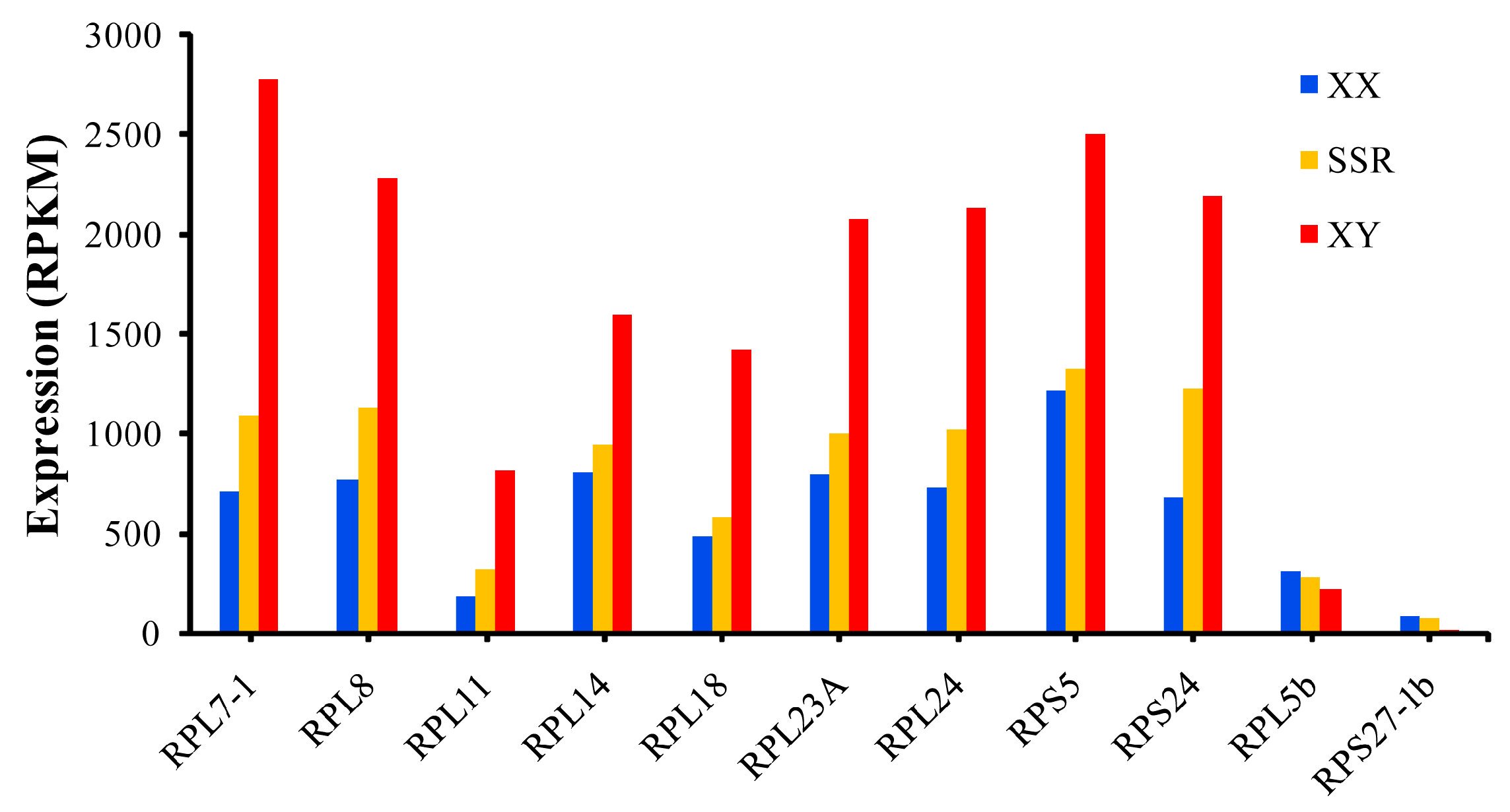 Ijms 21 01230 g008 Ijms 21 01230 g008