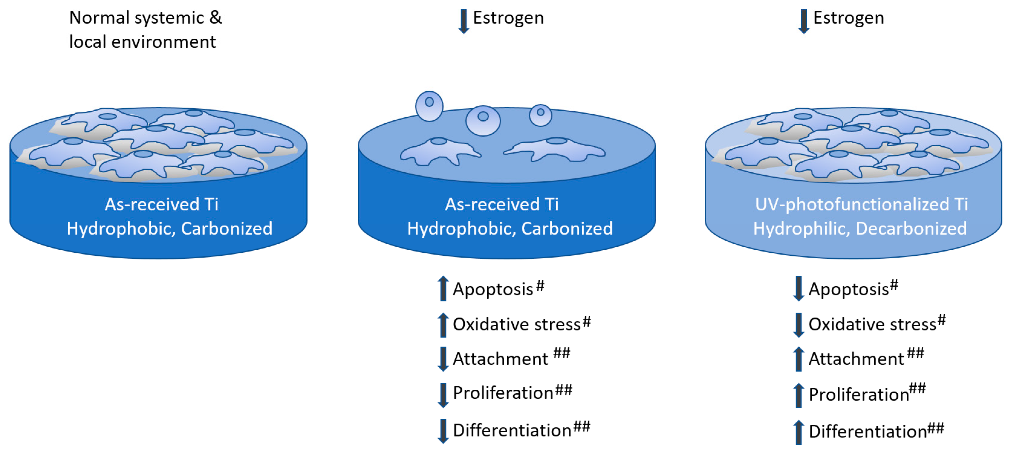 Ijms 21 01235 g008 Ijms 21 01235 g008
