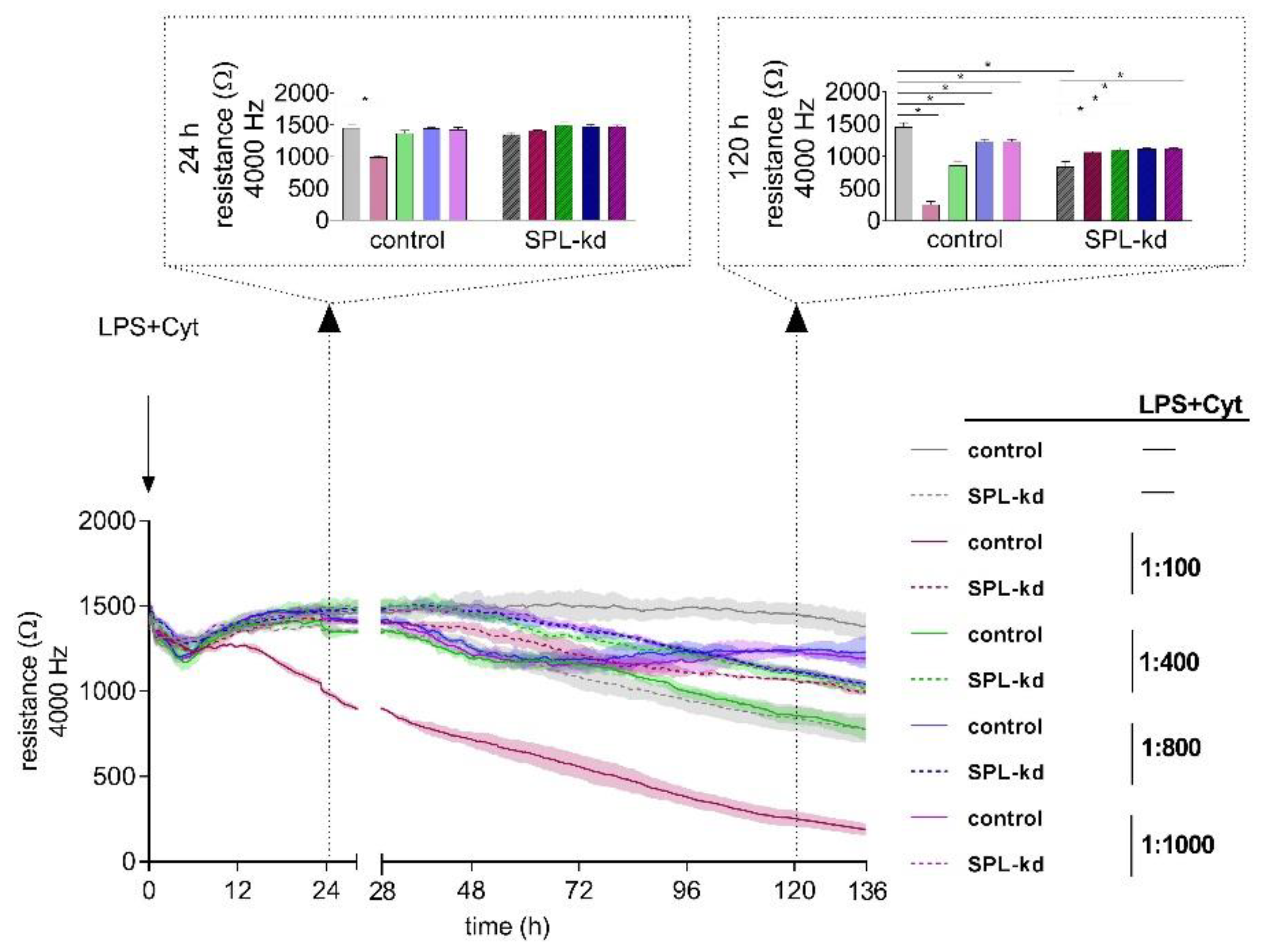 Ijms 21 01240 g003 Ijms 21 01240 g003