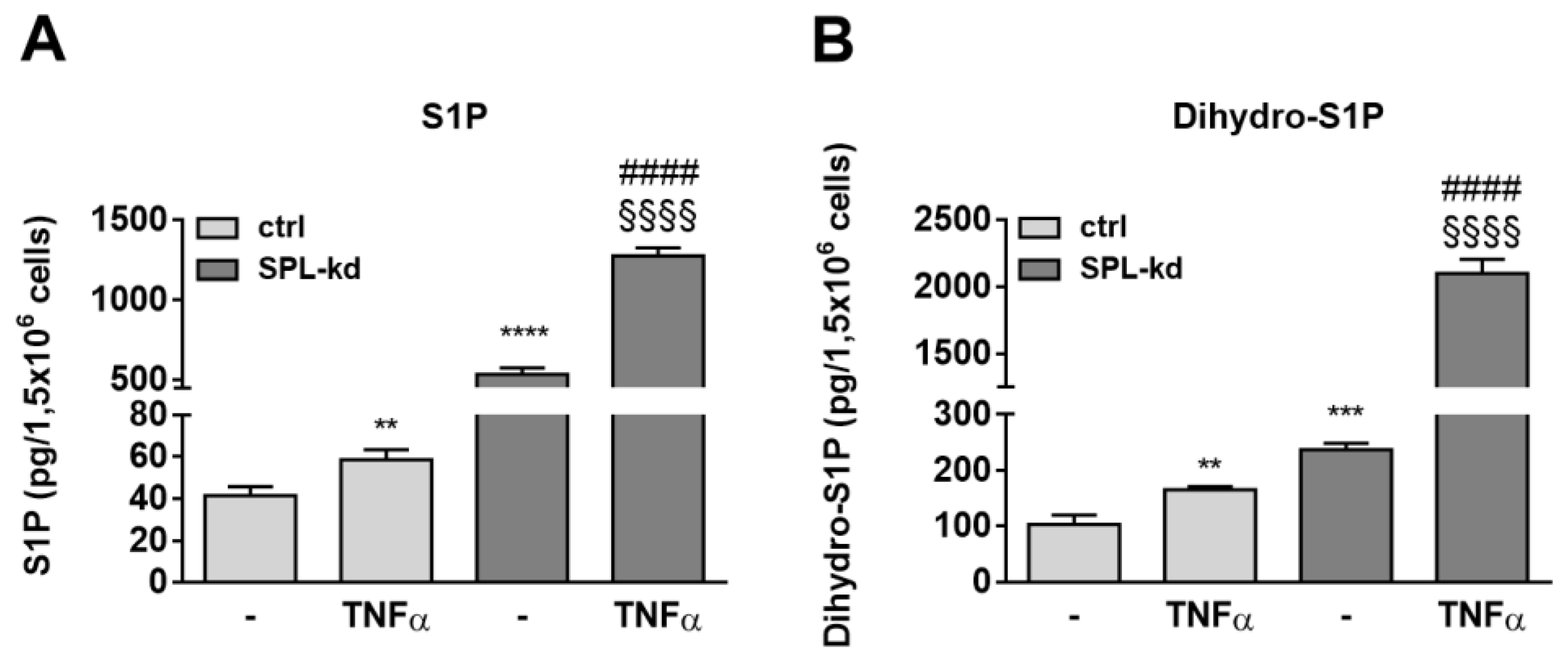 Ijms 21 01240 g008 Ijms 21 01240 g008