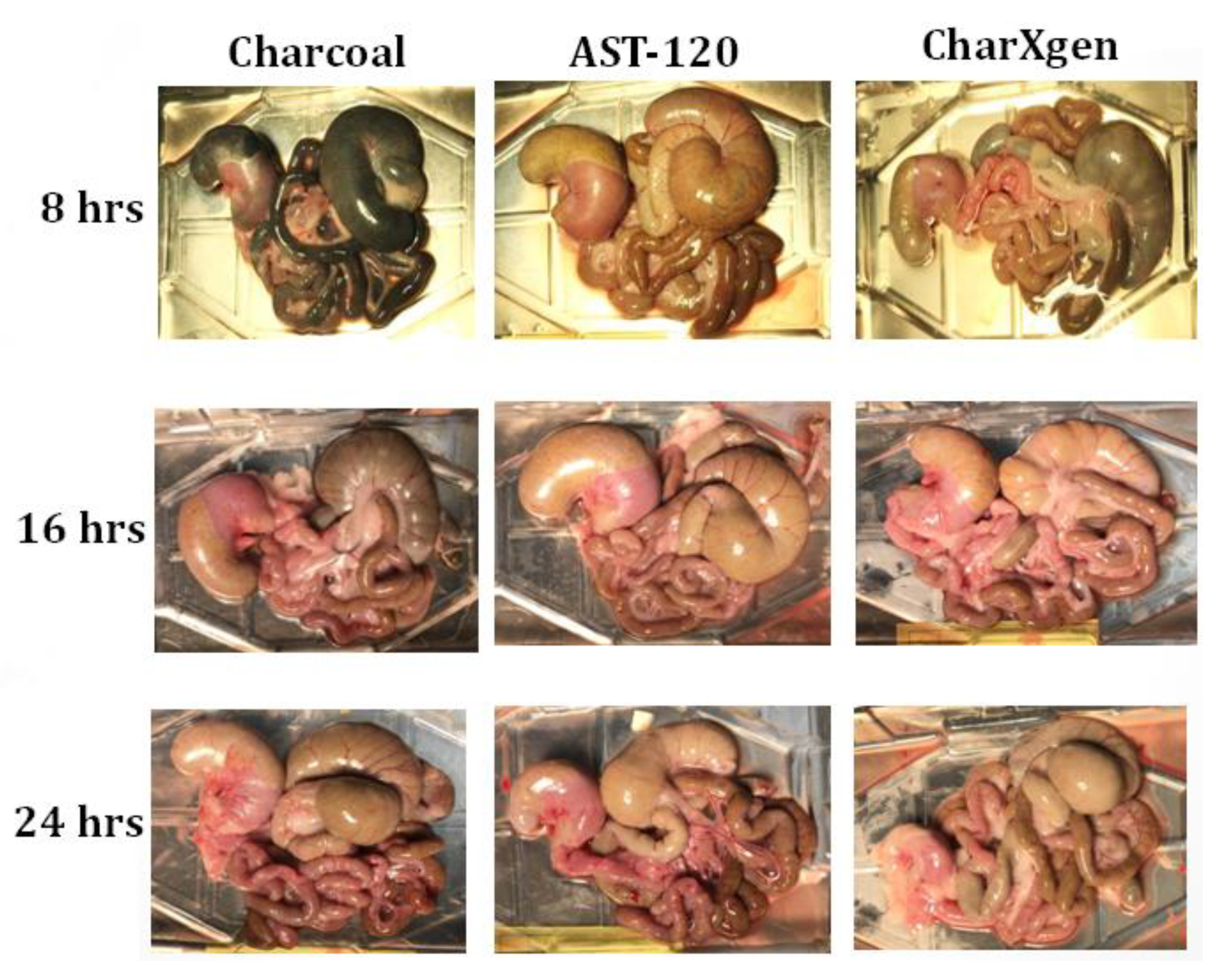 Ijms 21 01257 g004 Ijms 21 01257 g004