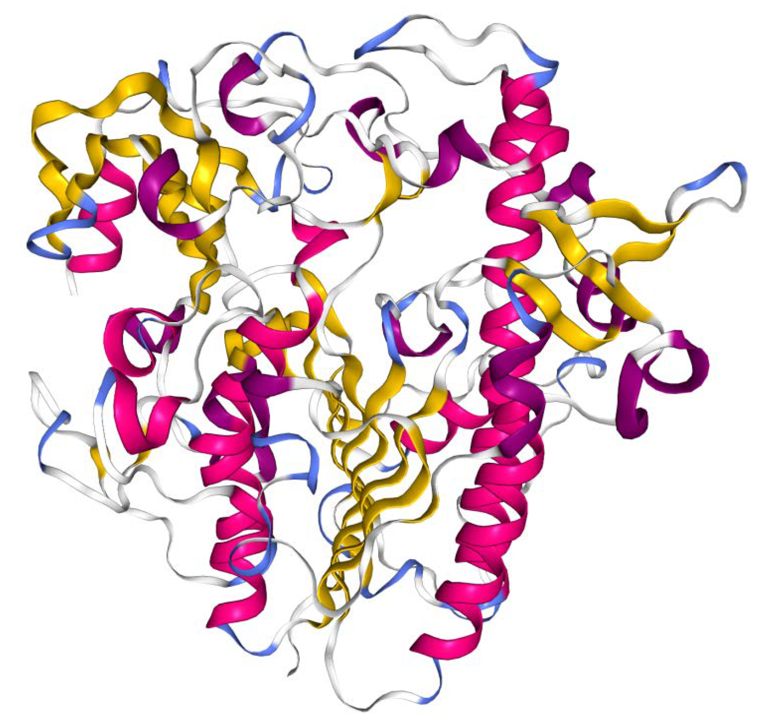 Ijms 21 01258 g002 Ijms 21 01258 g002