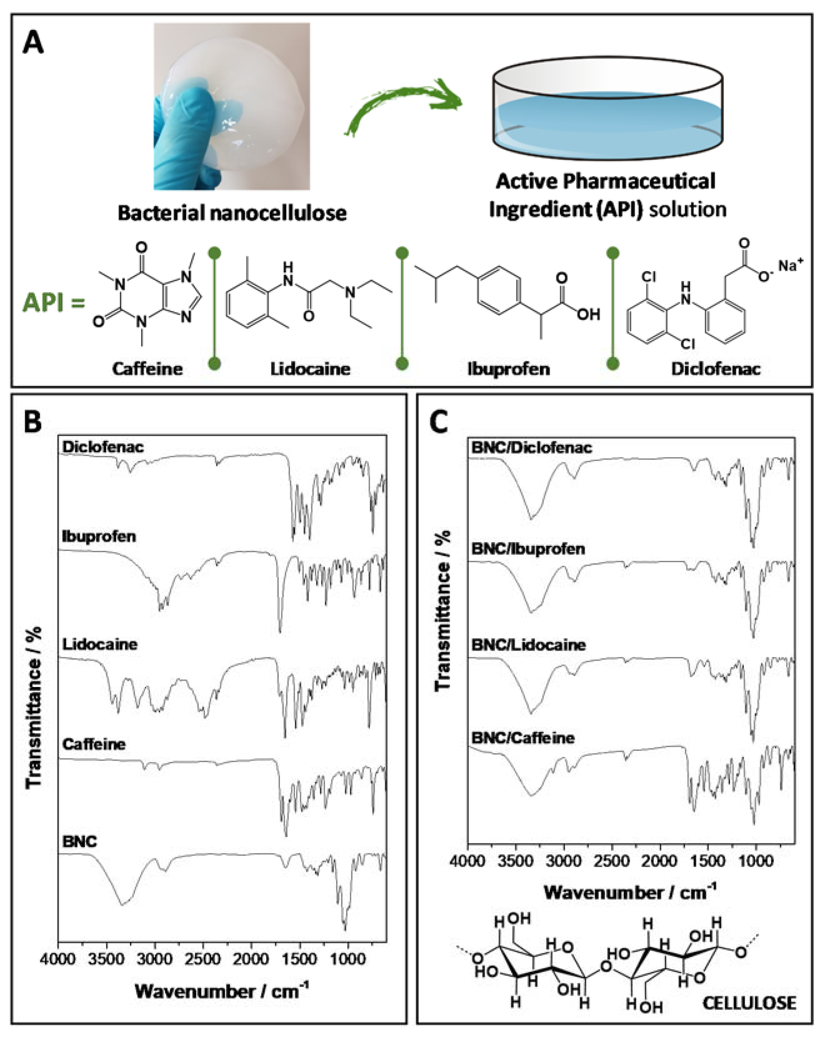 Ijms 21 01262 g001 Ijms 21 01262 g001