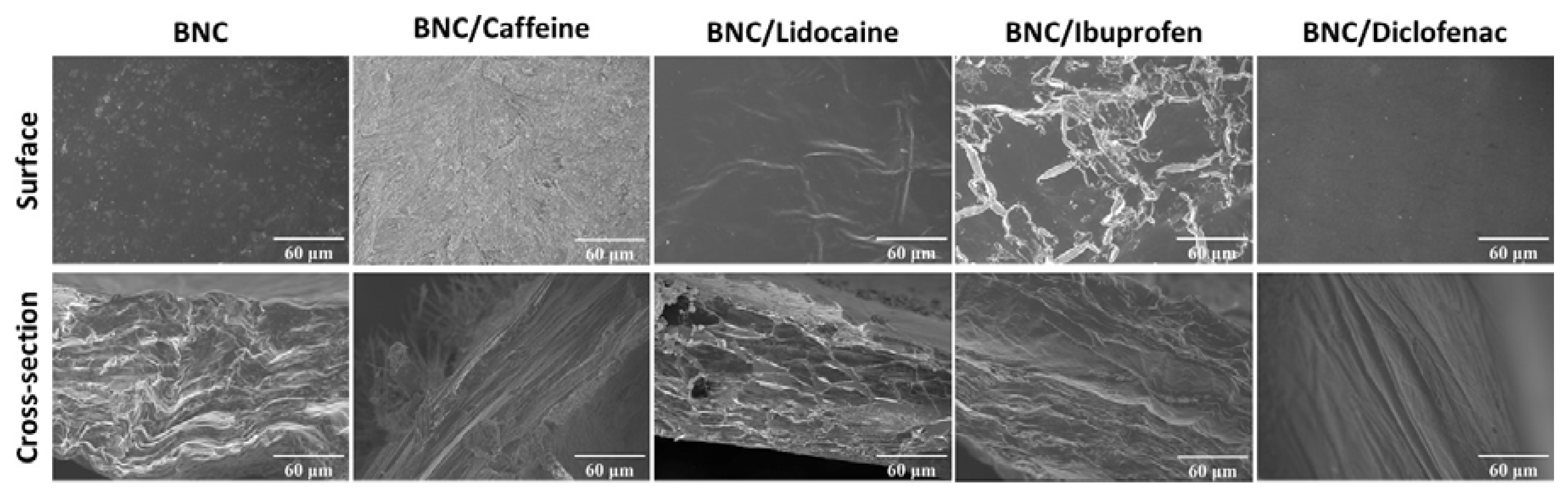 Ijms 21 01262 g002 Ijms 21 01262 g002