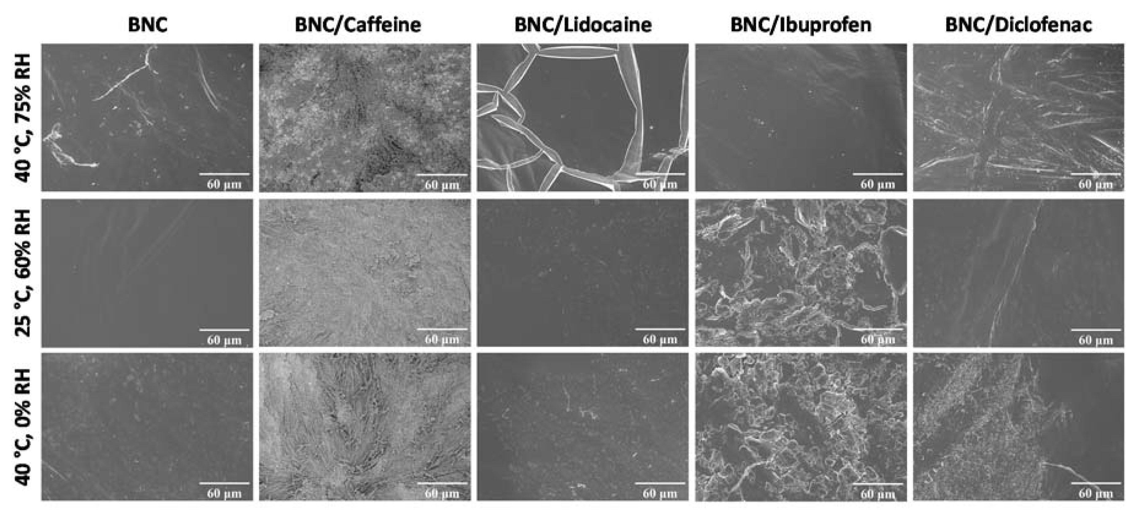 Ijms 21 01262 g005 Ijms 21 01262 g005