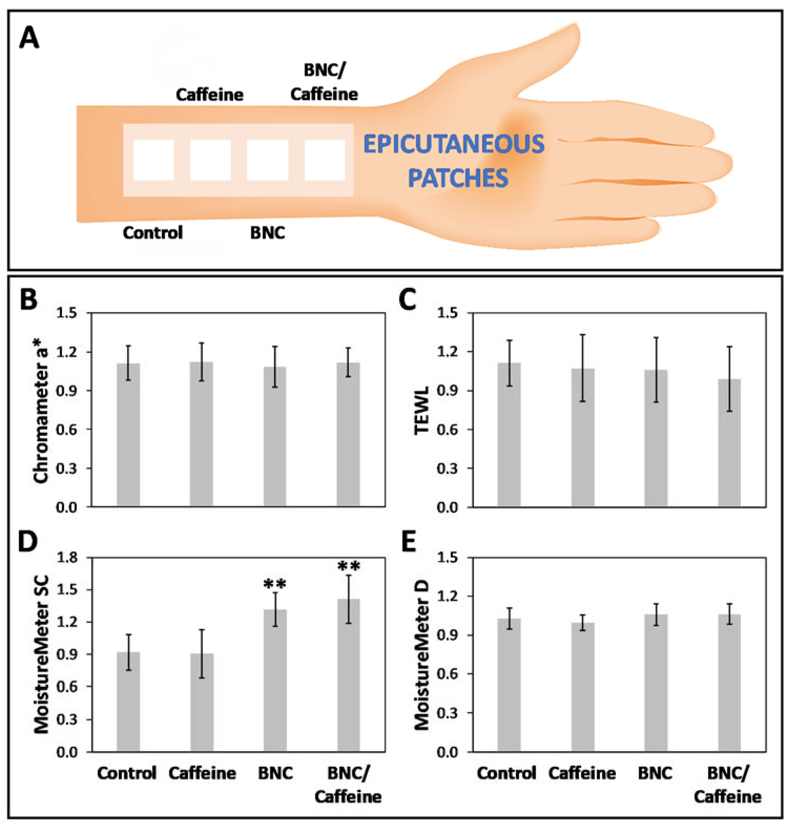 Ijms 21 01262 g007 Ijms 21 01262 g007