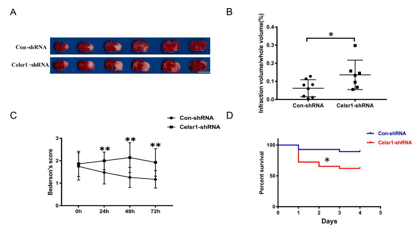 Ijms 21 01267 g002 Ijms 21 01267 g002