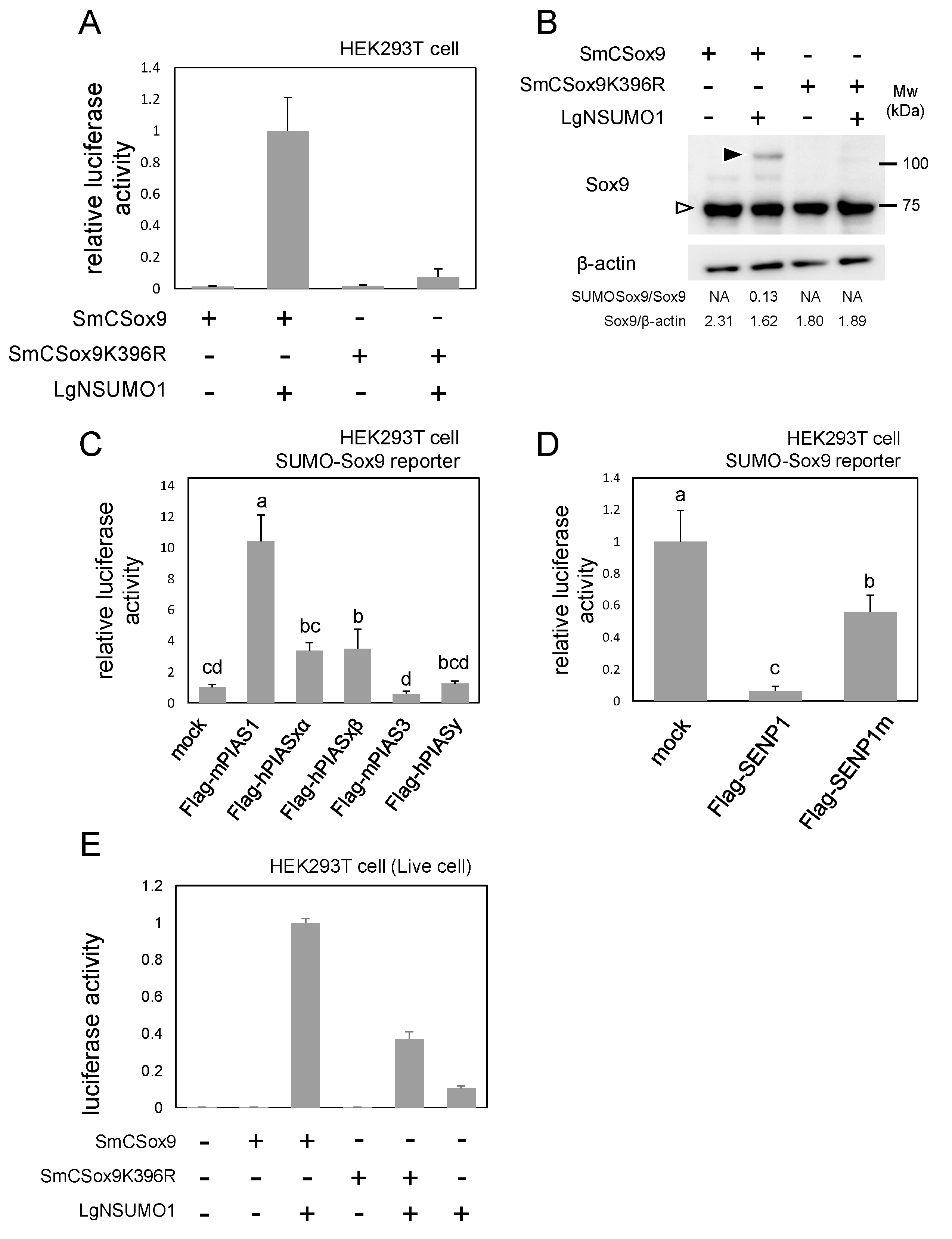 Ijms 21 01274 g002 Ijms 21 01274 g002