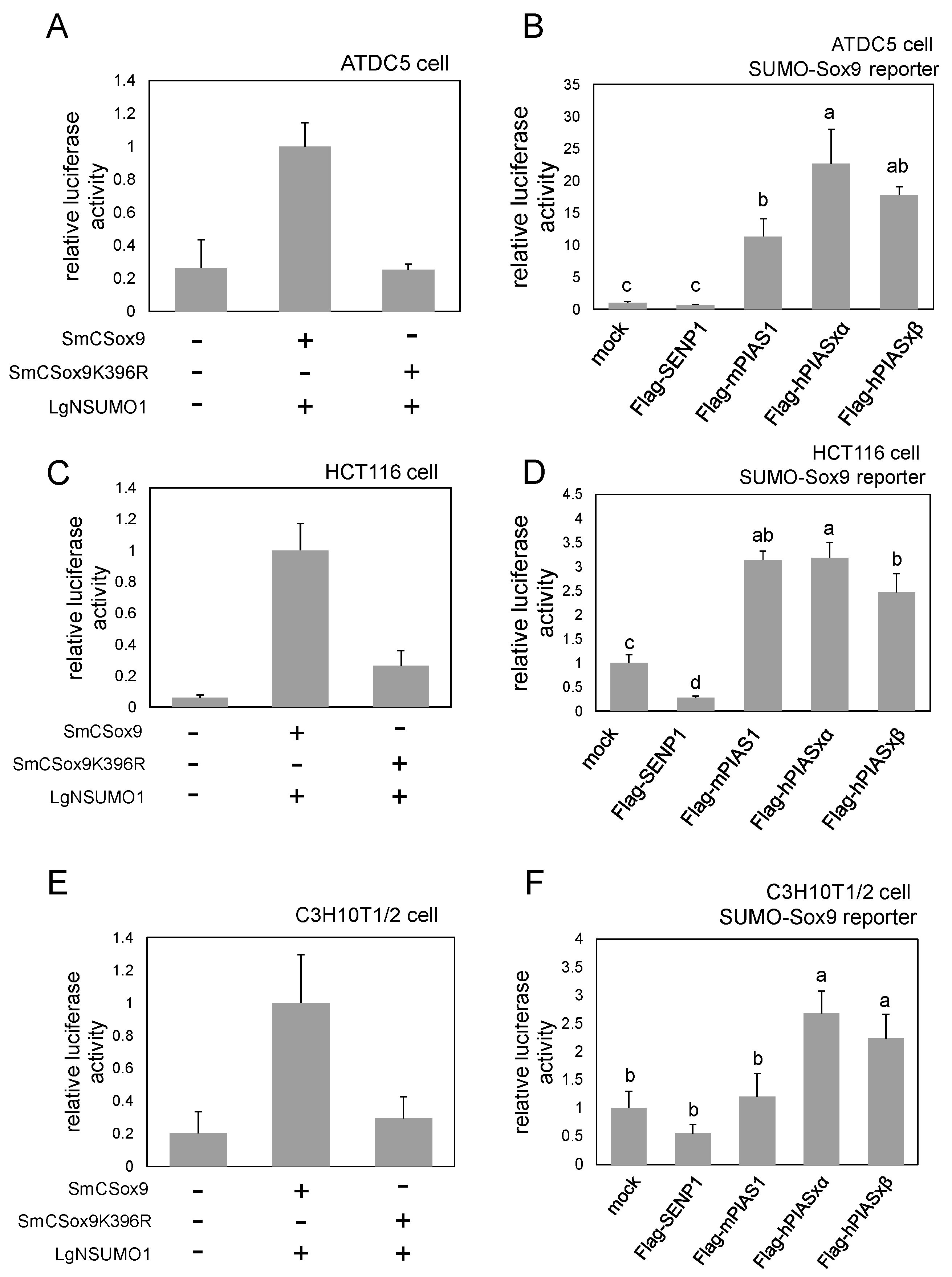 Ijms 21 01274 g003 Ijms 21 01274 g003