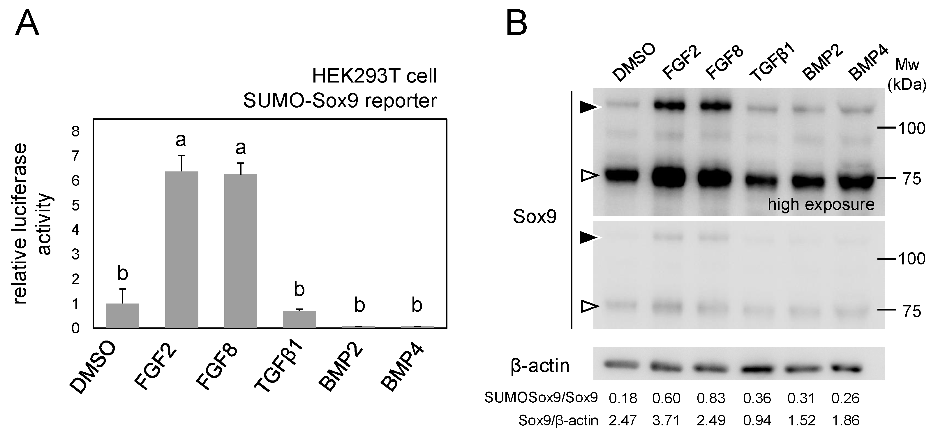 Ijms 21 01274 g004 Ijms 21 01274 g004