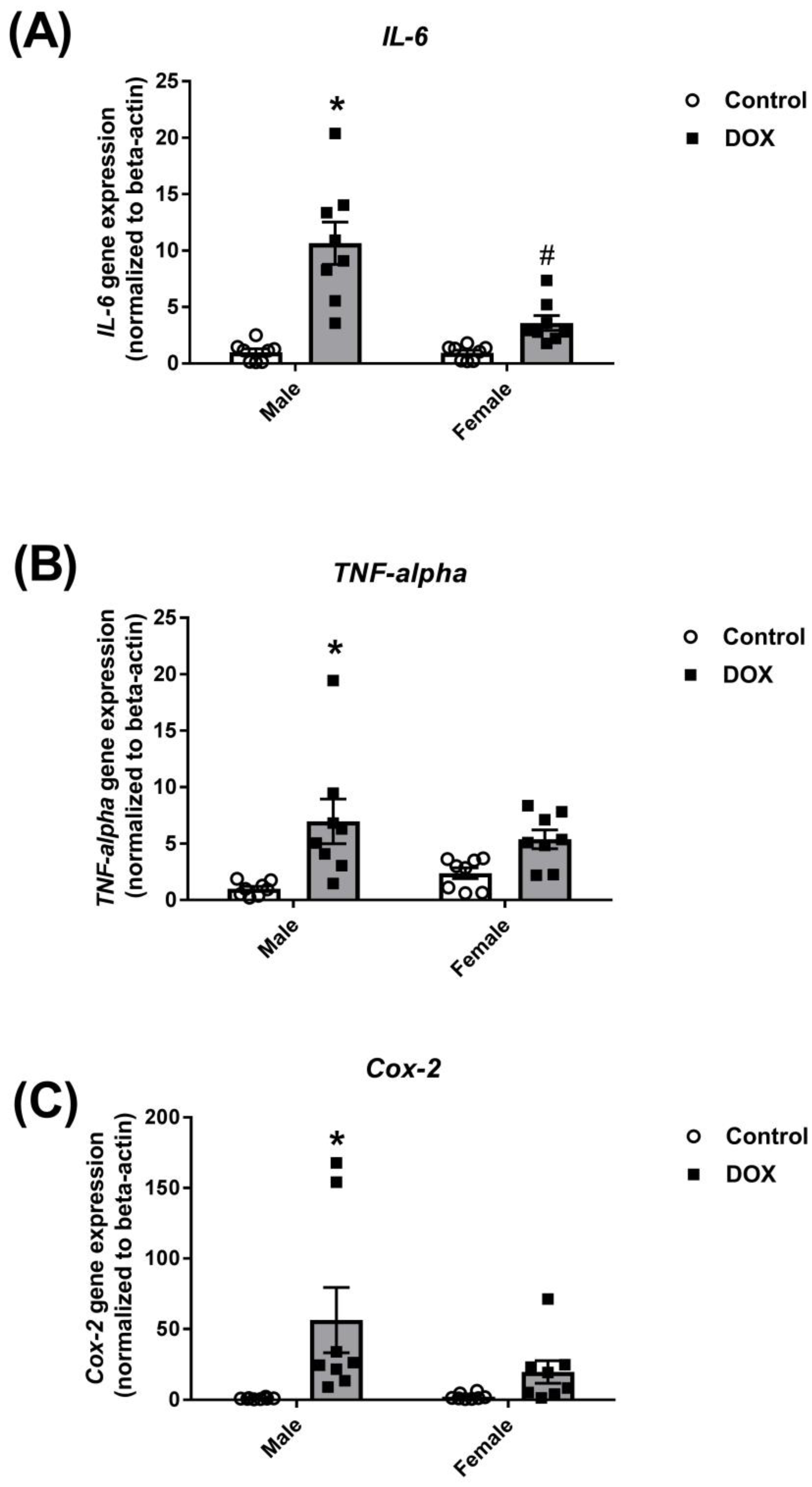 Ijms 21 01279 g002 Ijms 21 01279 g002