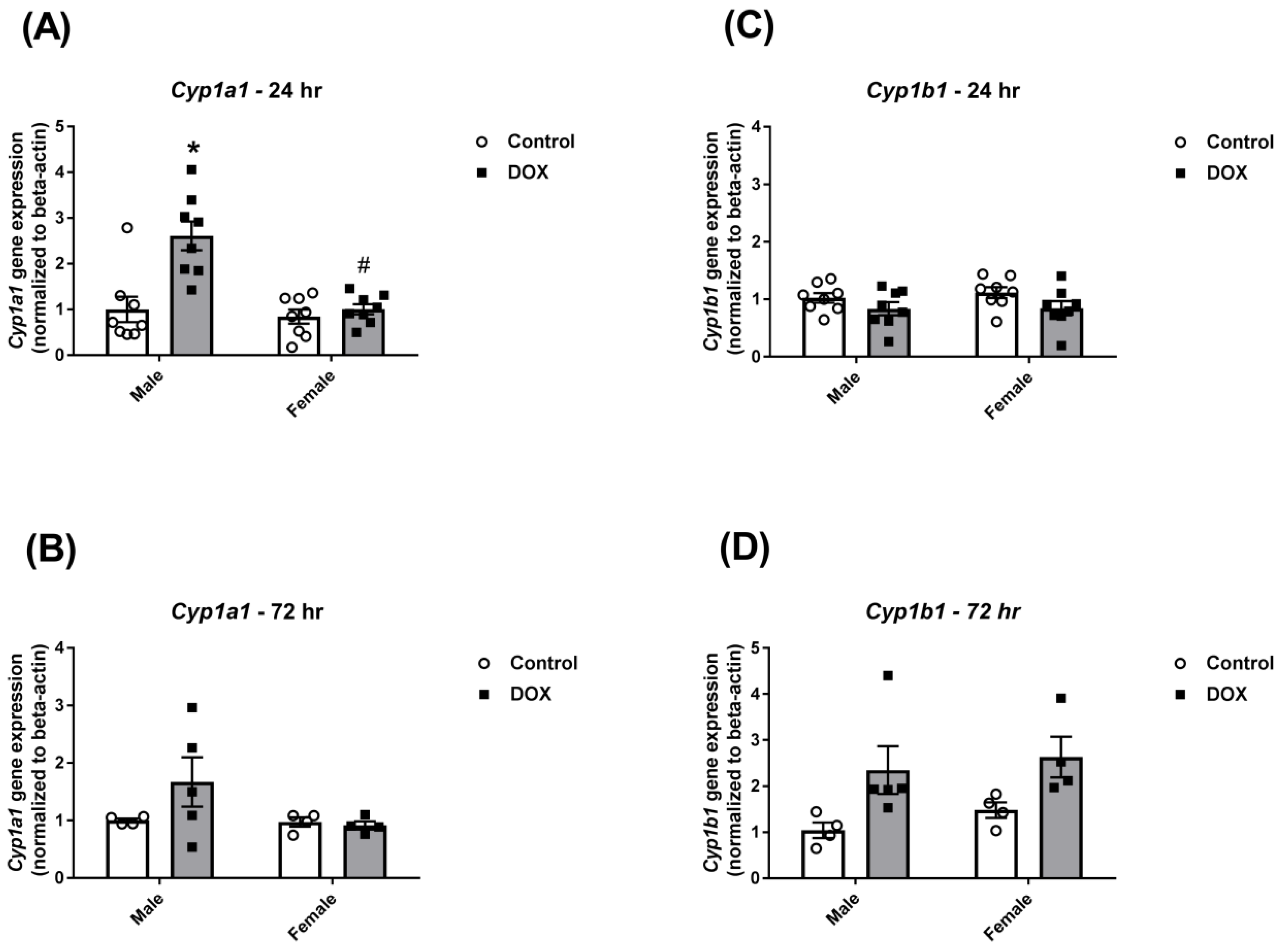 Ijms 21 01279 g003 Ijms 21 01279 g003
