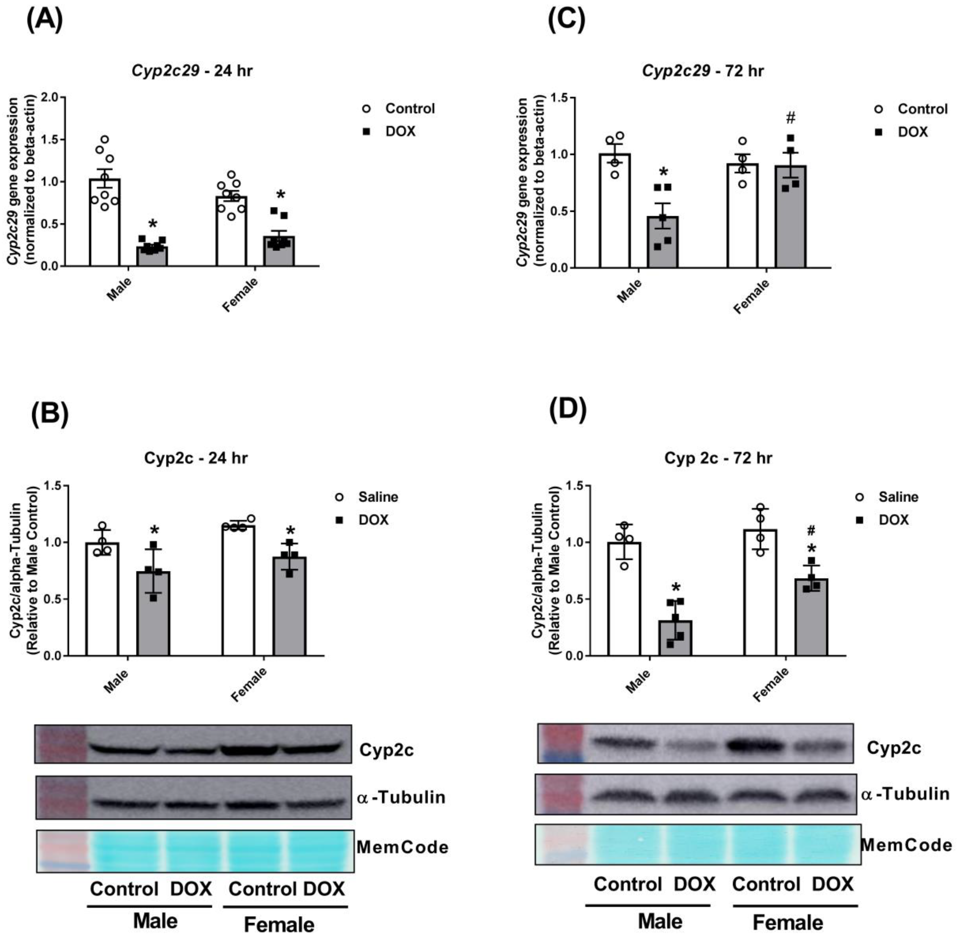 Ijms 21 01279 g004 Ijms 21 01279 g004