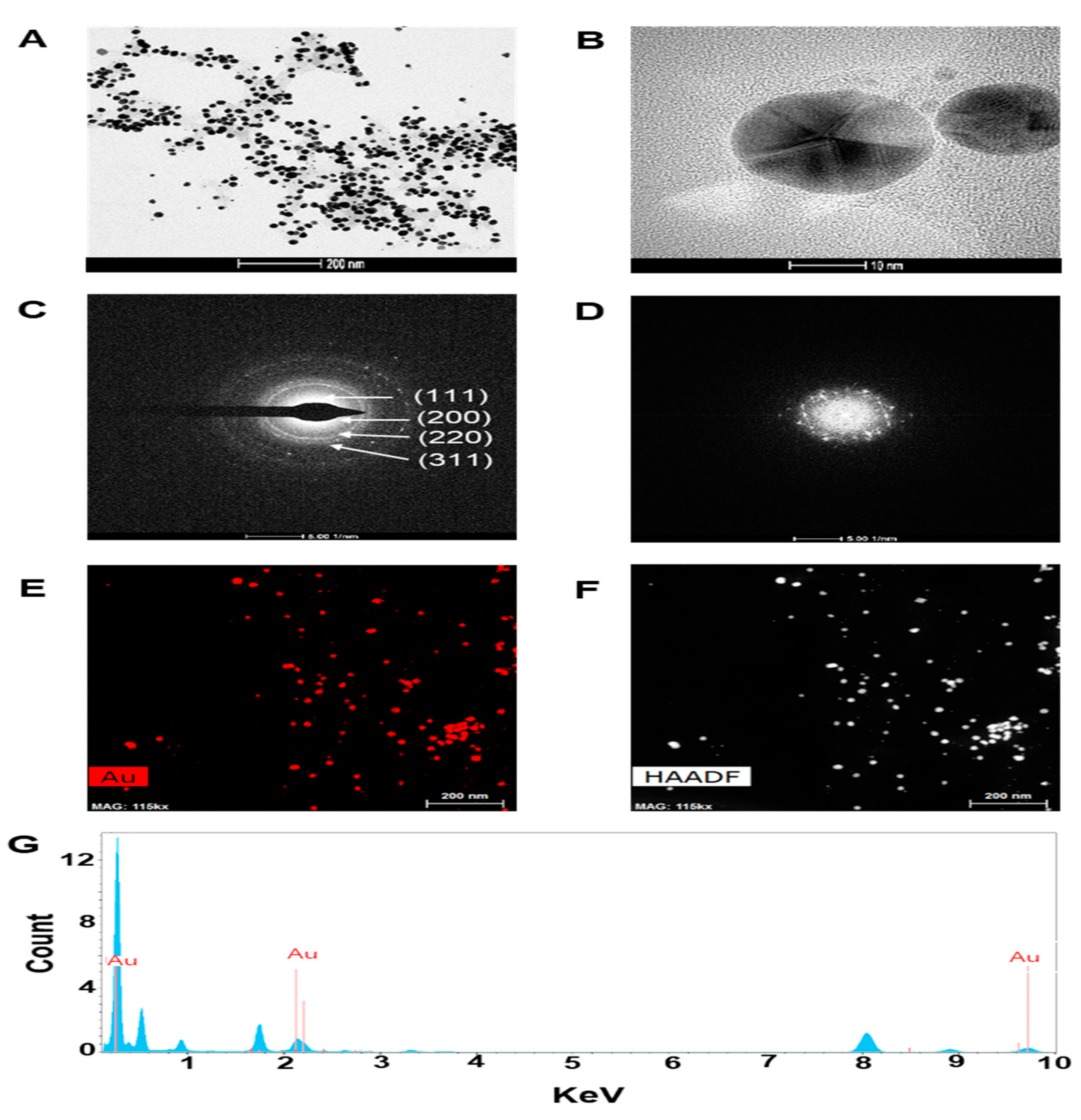 Ijms 21 01282 g001 Ijms 21 01282 g001